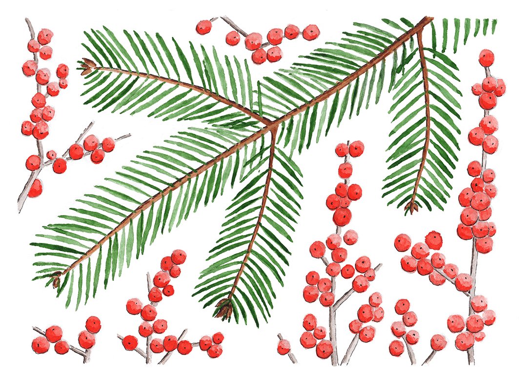 Winterberry
