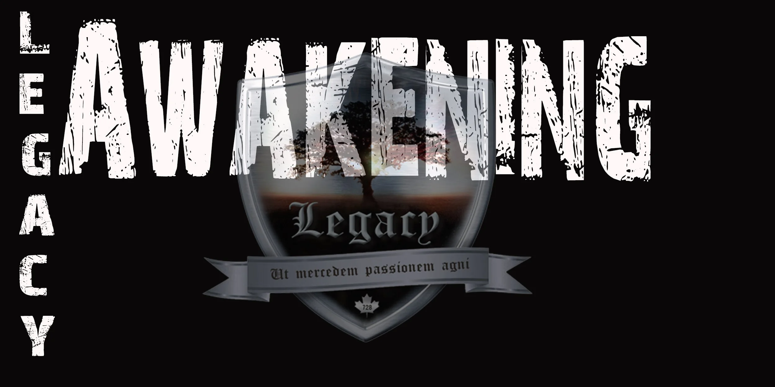  Awakening is a 10 week series designed to help lead the church into an understanding of the plans and purposes of God for His church and the role that the will of God for each one of our lives plays in helping to complete the picture that He is crea