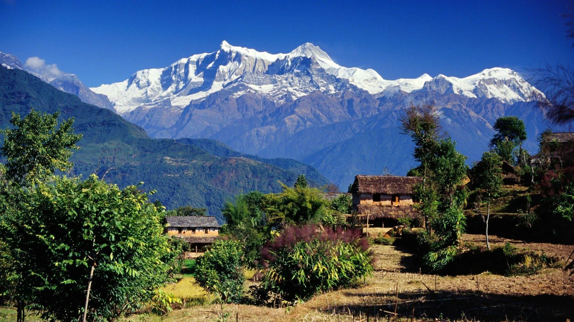 Nepal Home Page.jpg