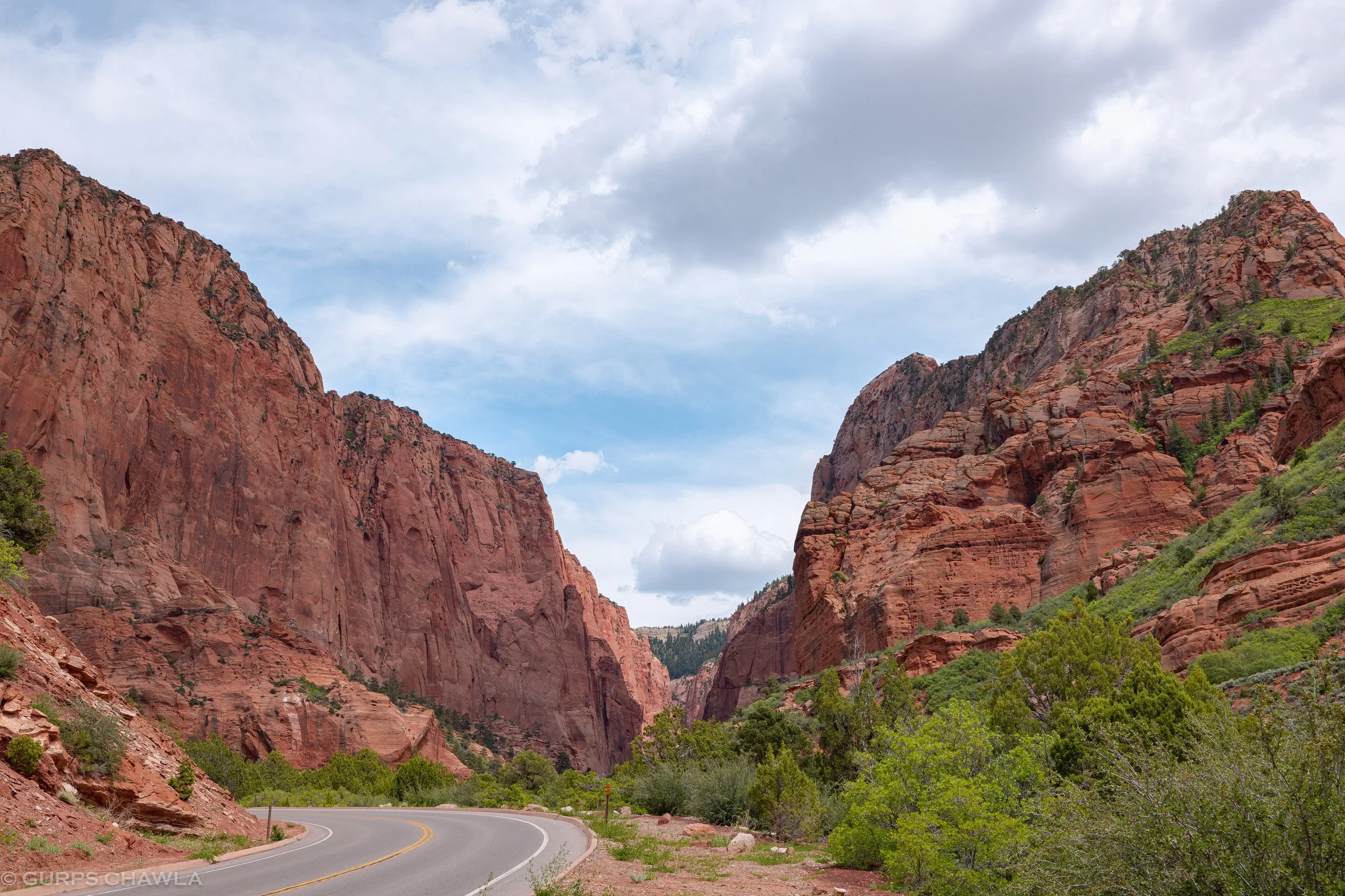 Zion (41 of 48).jpg