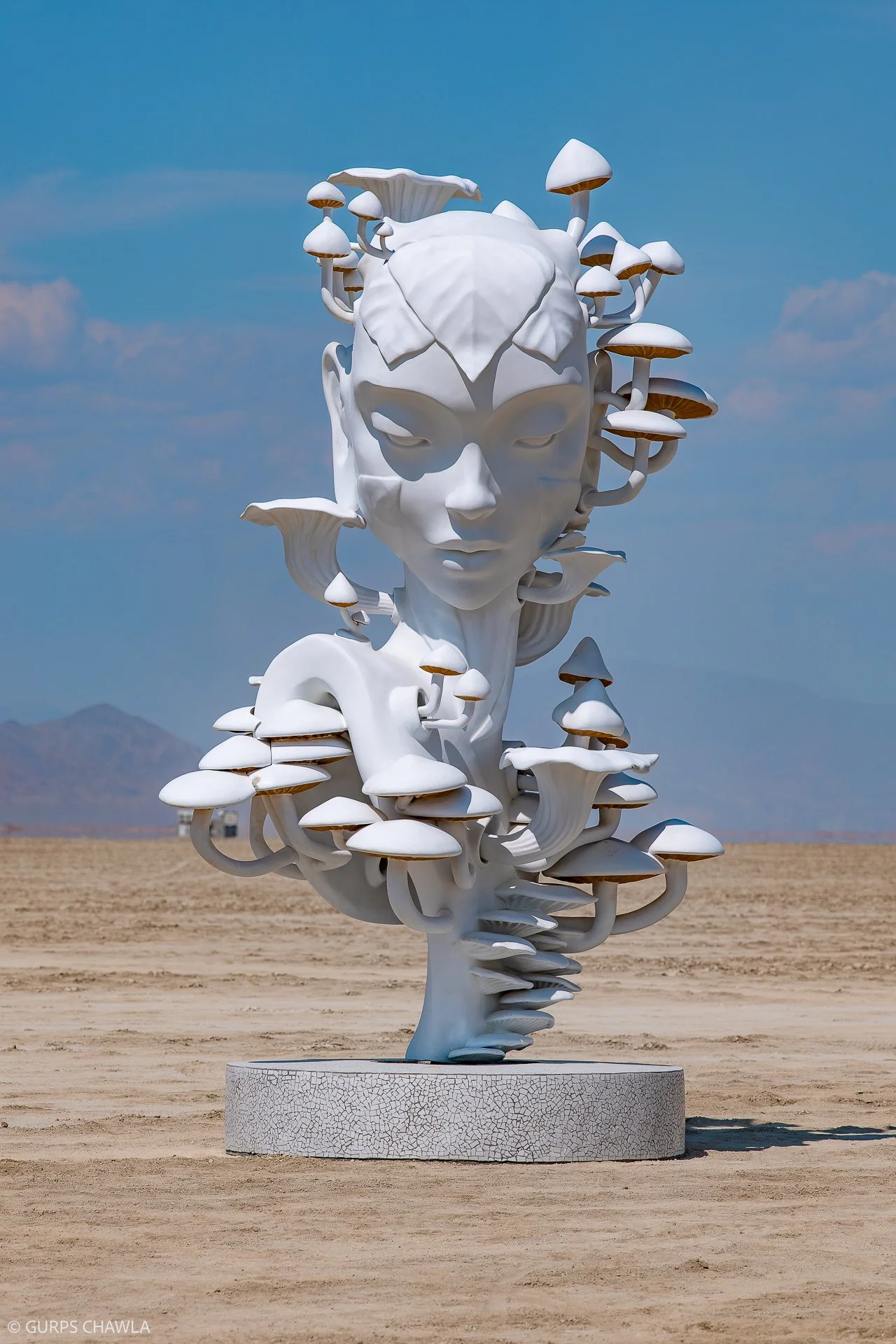 29. Mycelia by Daniel Popper - (C) Gurps Chawla.jpg