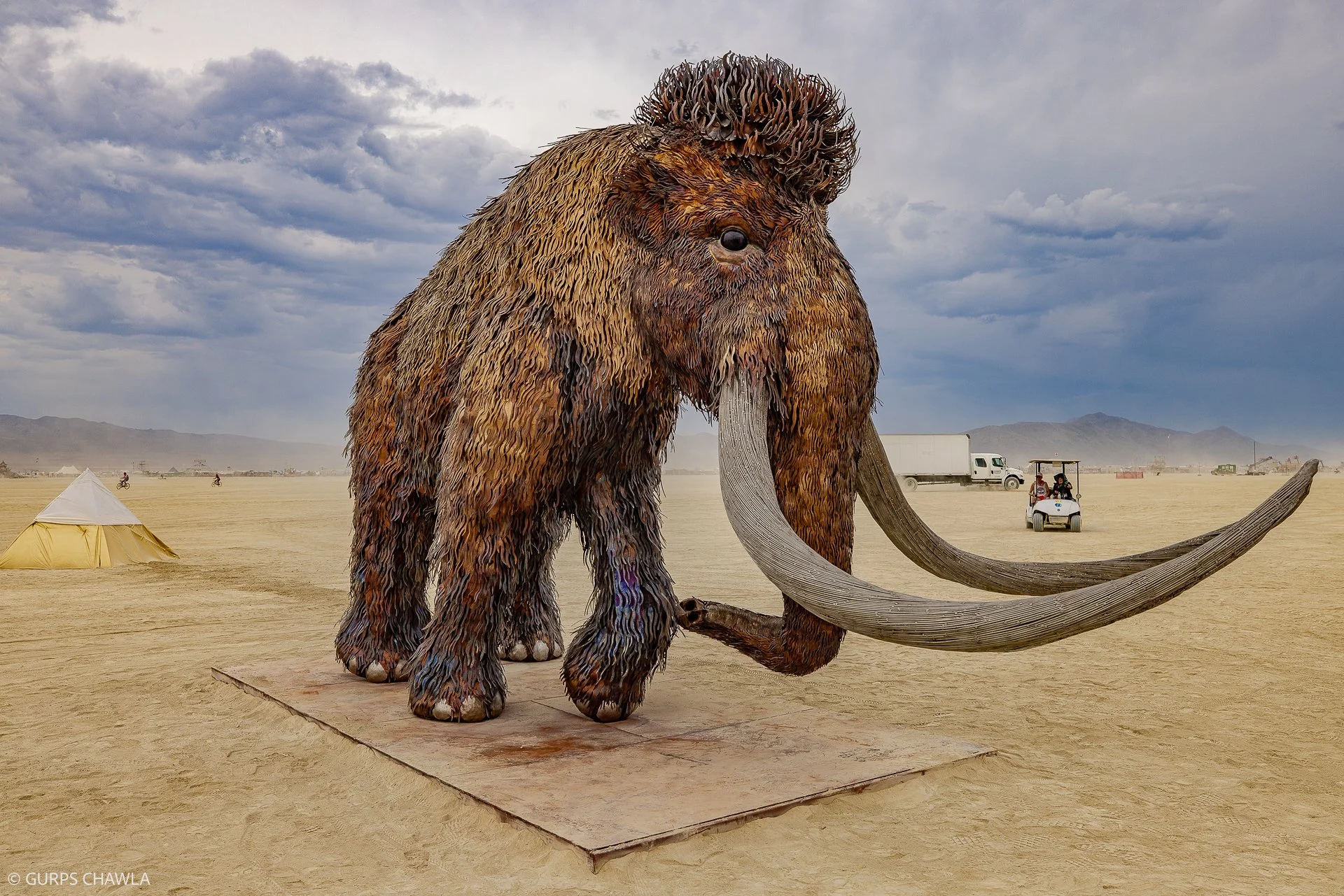49. Reborn by Clinton Lesh - (C) Gurps Chawla.jpg