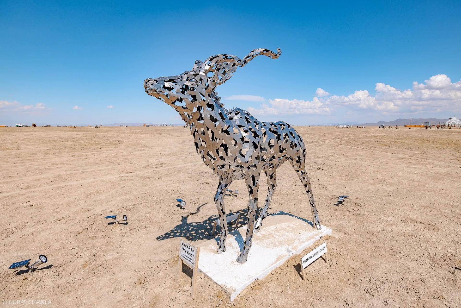 51. The Kudu by David Davis - (C) Gurps Chawla.jpg