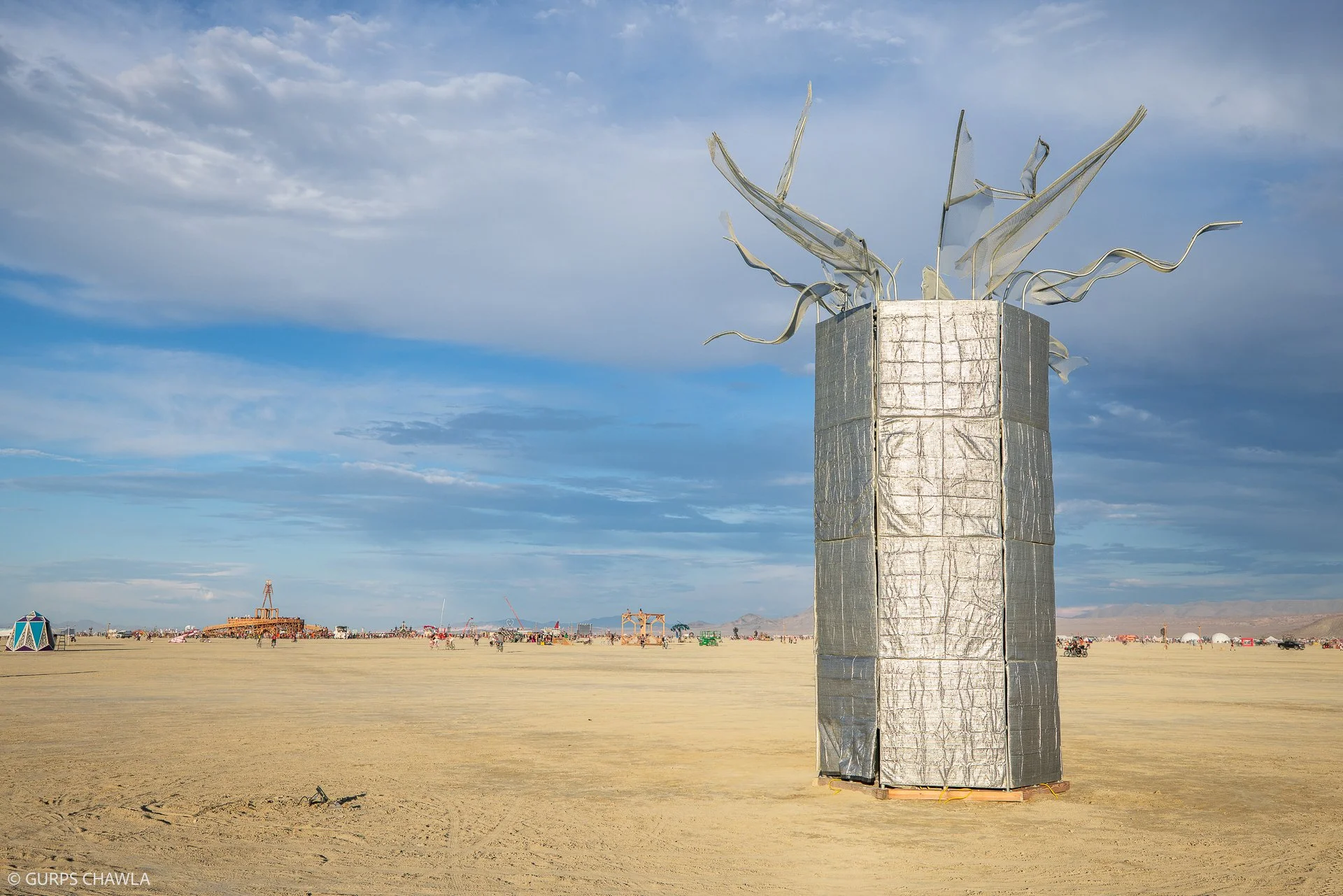 72. Baobab Tree by Ahmed Hass - (C) Gurps Chawla.jpg