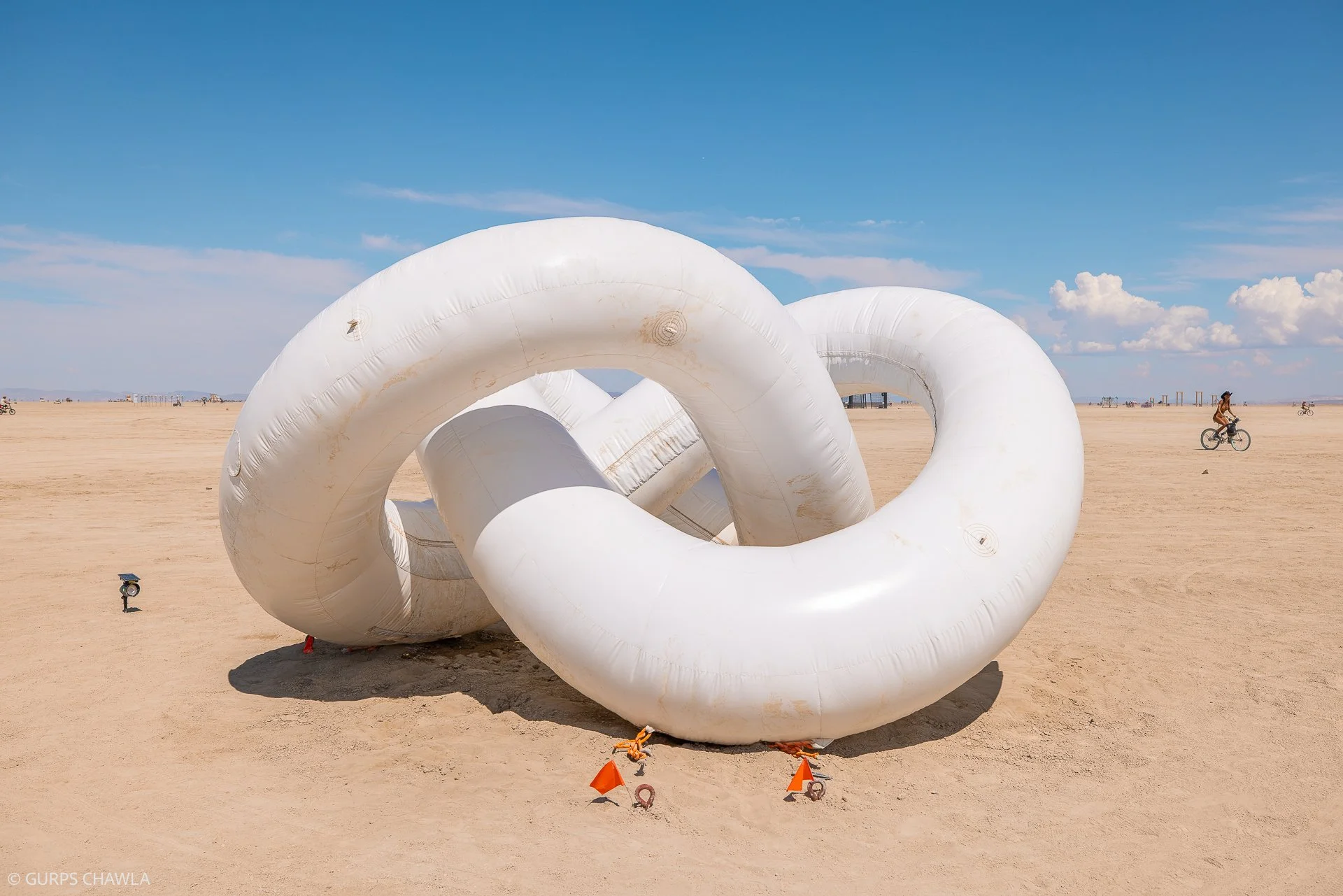 107. Our Ouroboros by Youtian Duan and Soul Garden Art Foundation - (C) Gurps Chawla.jpg