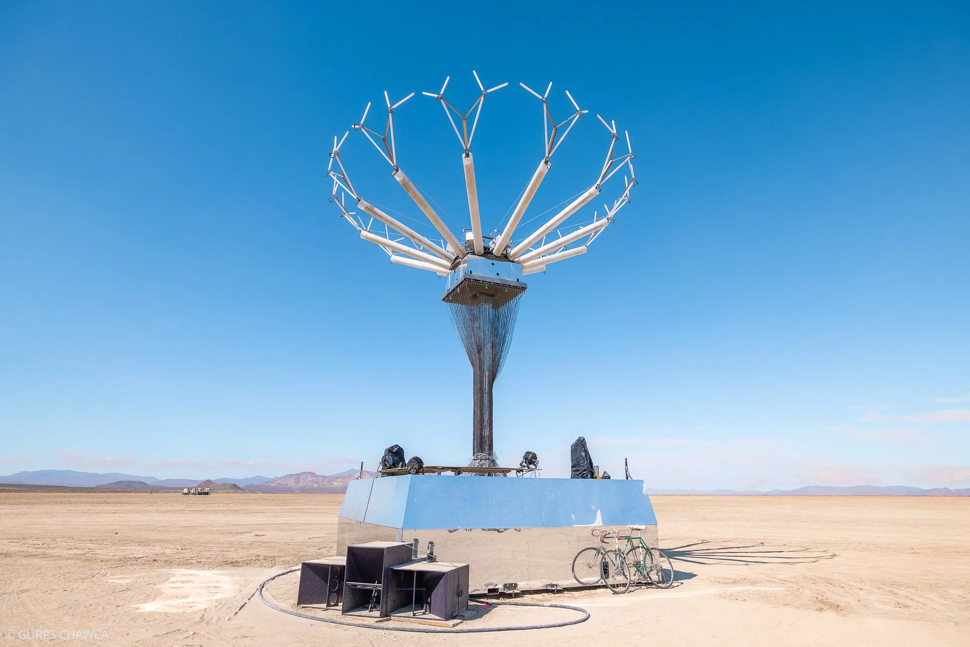 125. Singularity Tree by Bipolar Express - (C) Gurps Chawla.jpg