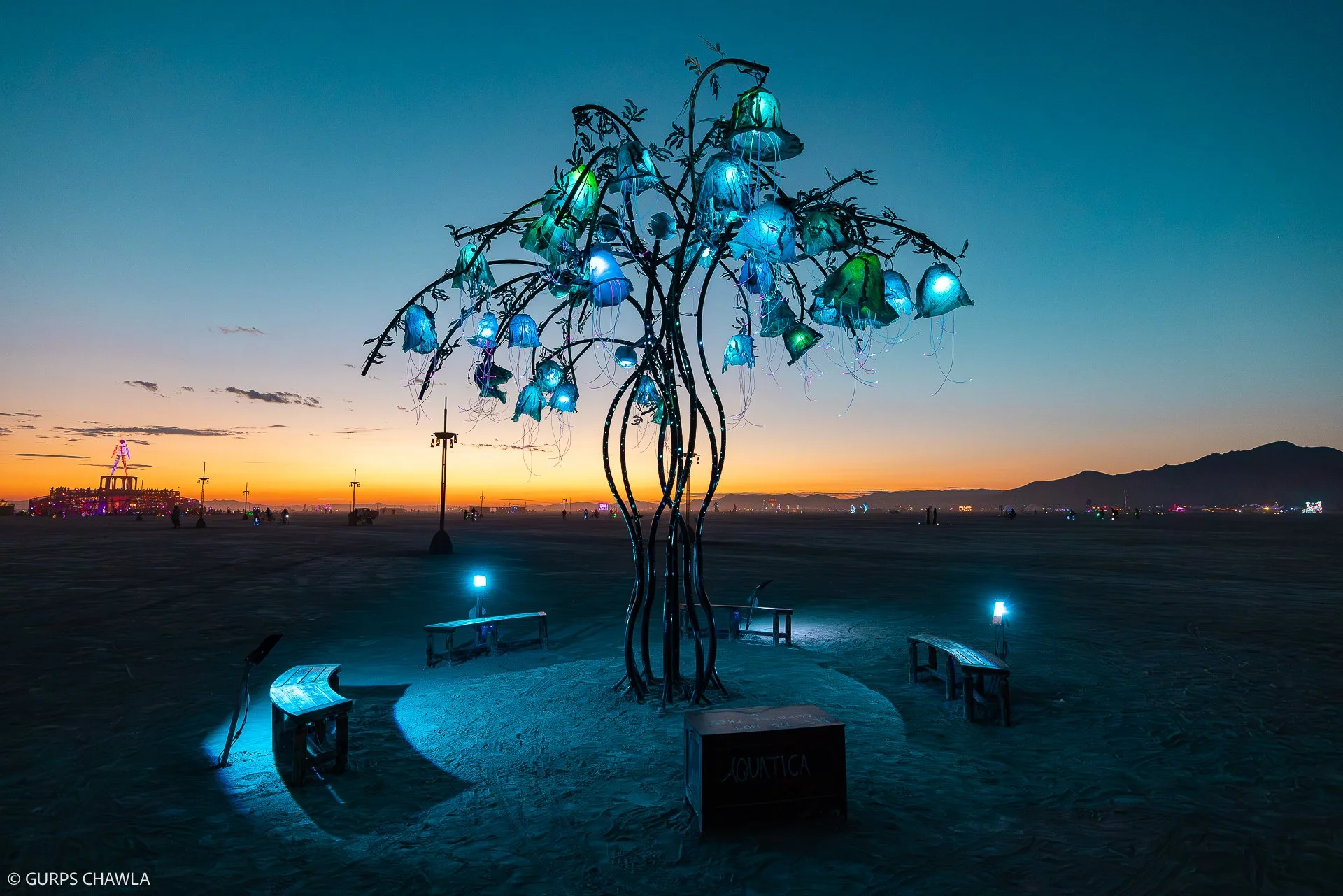 153. Aquatica by Anna Gribovsky - (C) Gurps Chawla.jpg