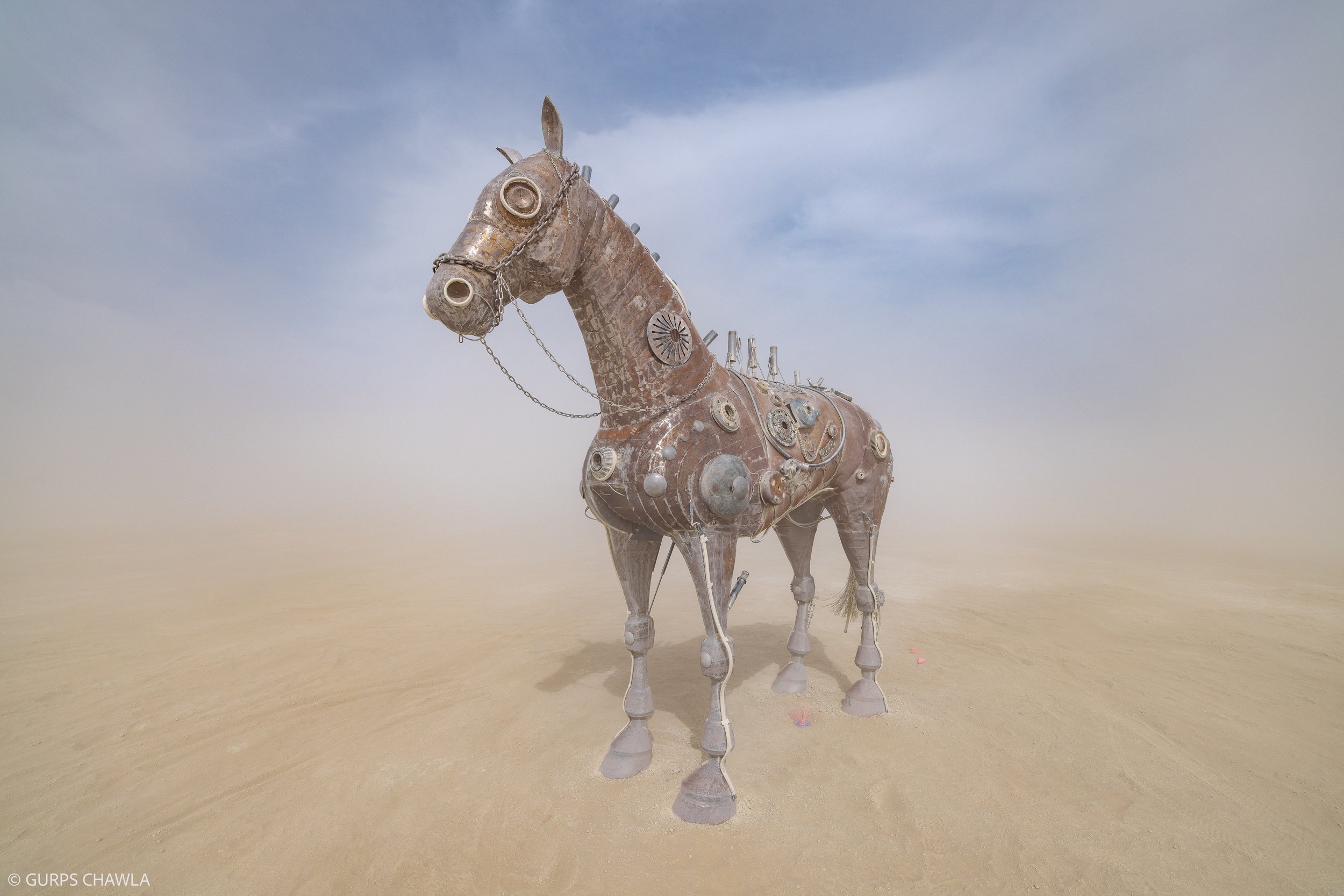 011. Fire Horse By- Victor Spinelli.jpg