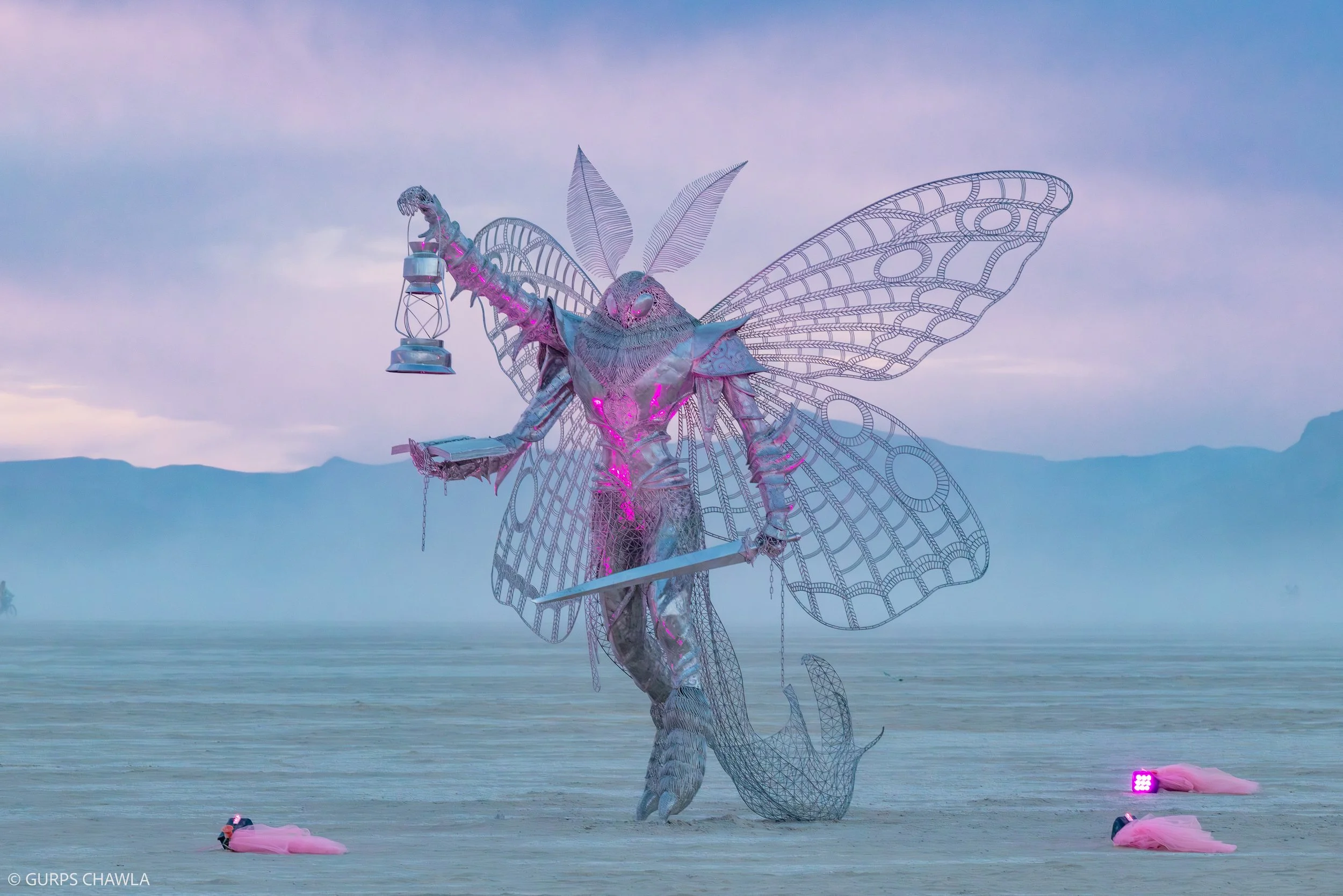 105. Moth By- Vitalii Kusaiko.jpg