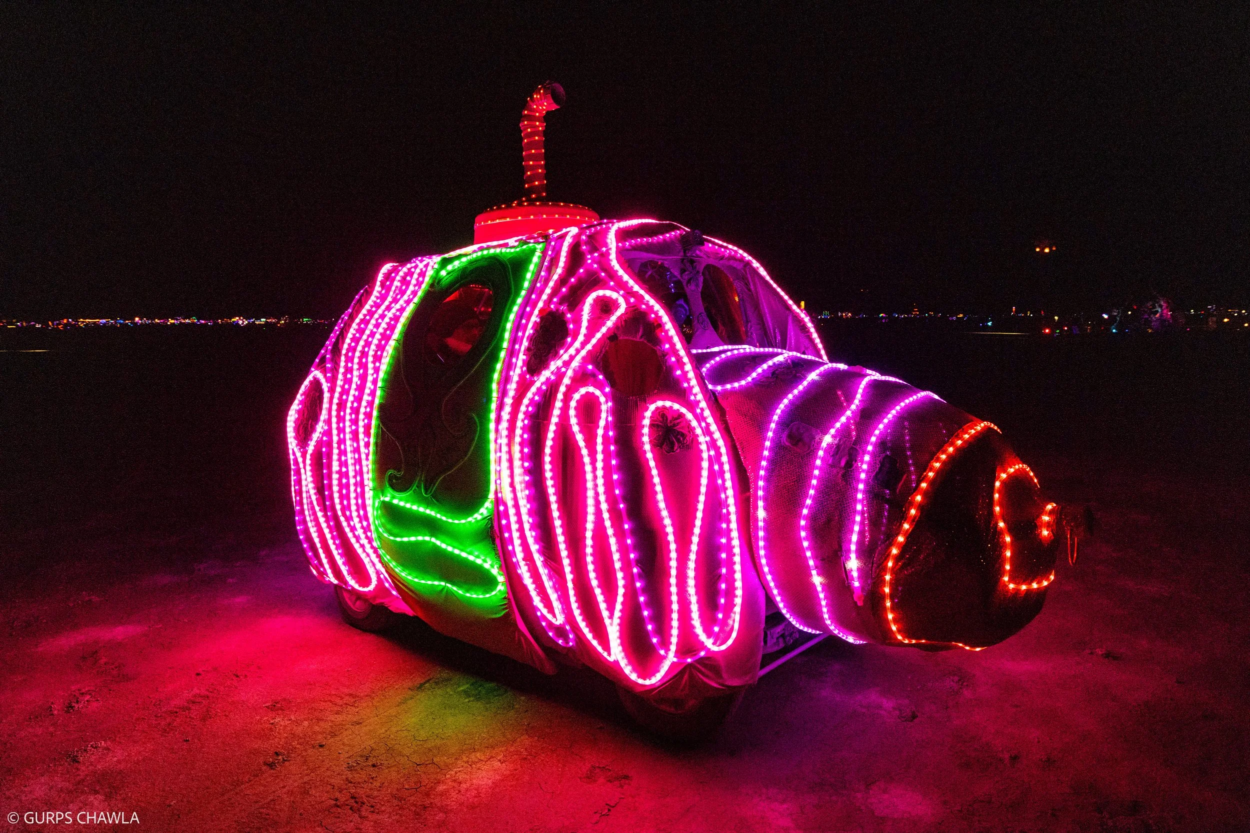 127. SS Tata Art Car .jpg