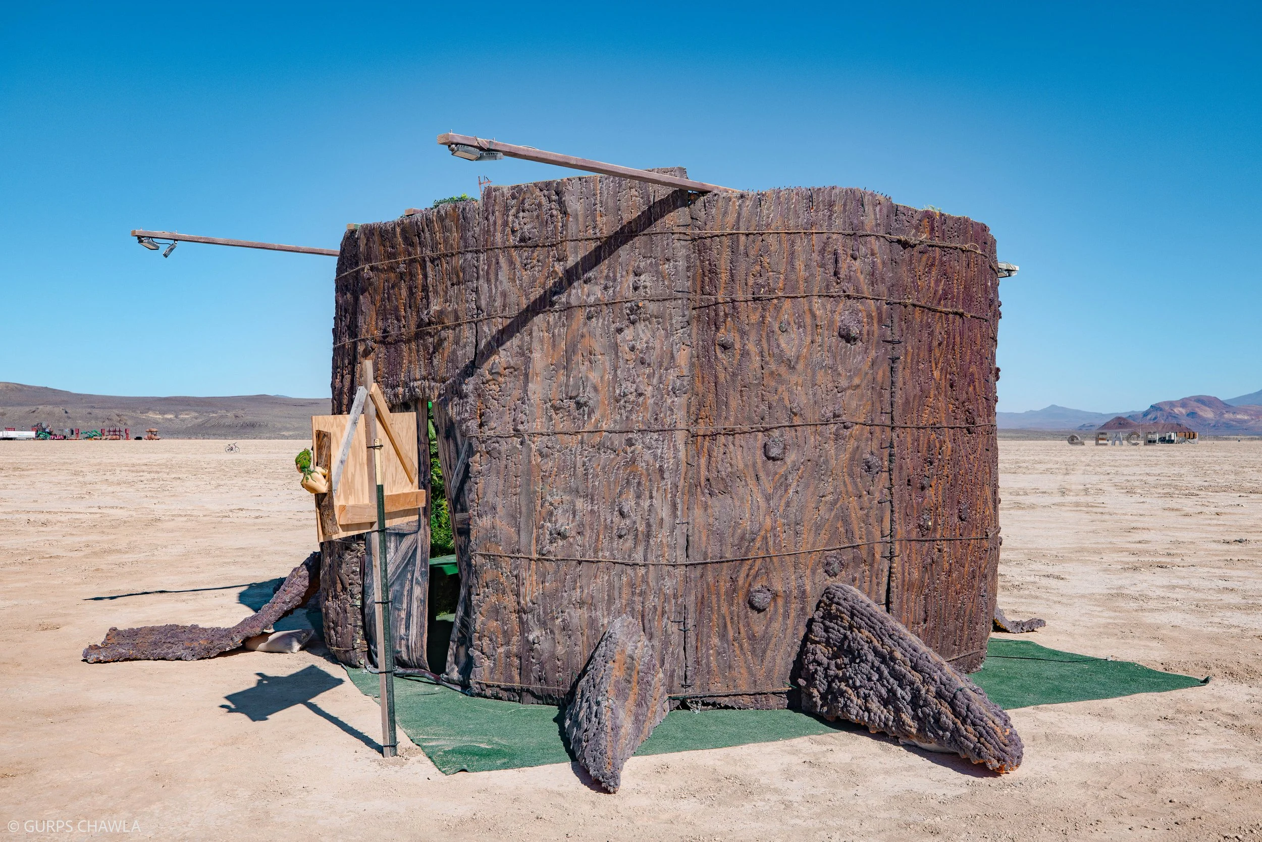 166. Wisdom Oasis By- Ofer Levy – Zeta Zone Camp.jpg