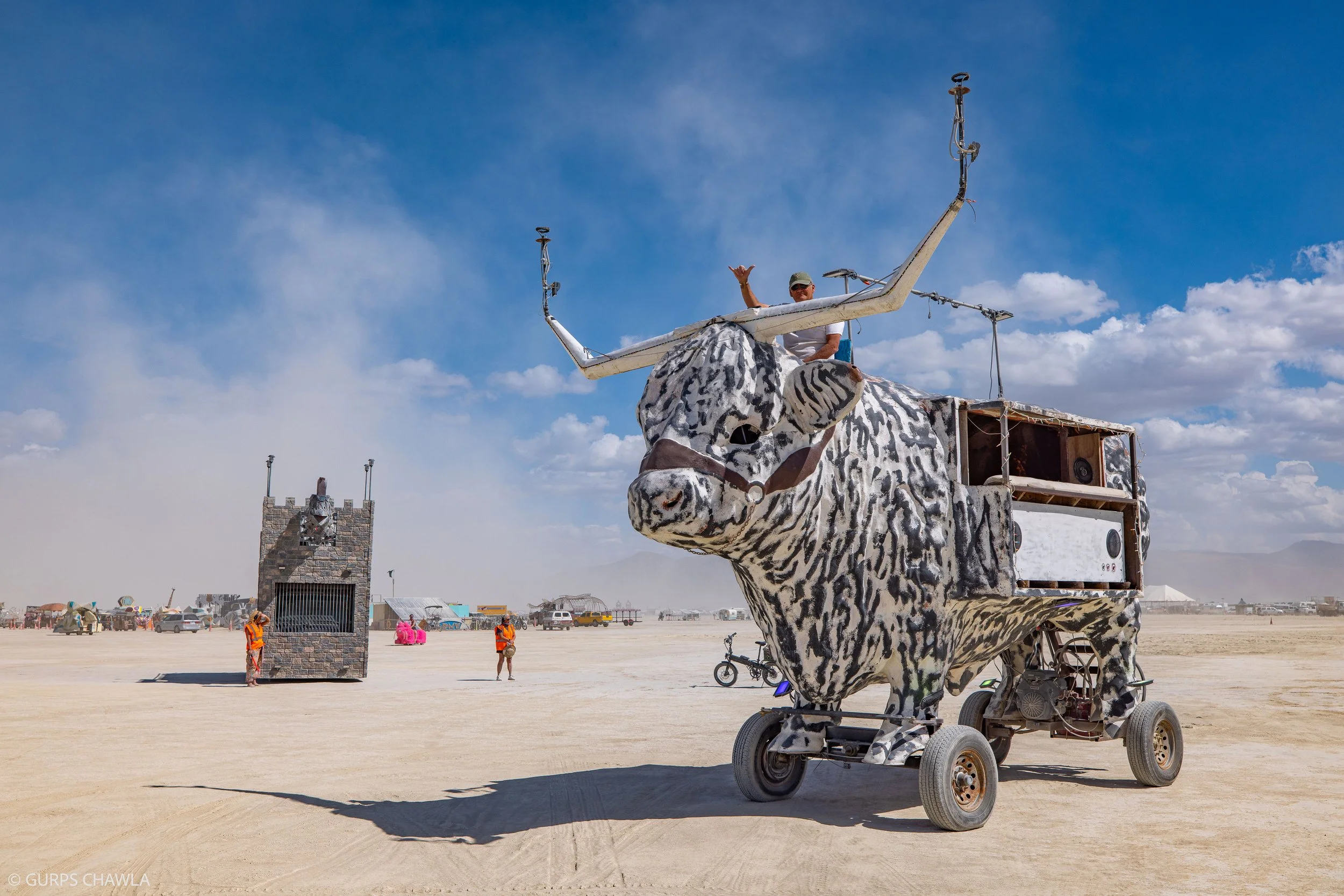 175. The Bull by TBD.jpg