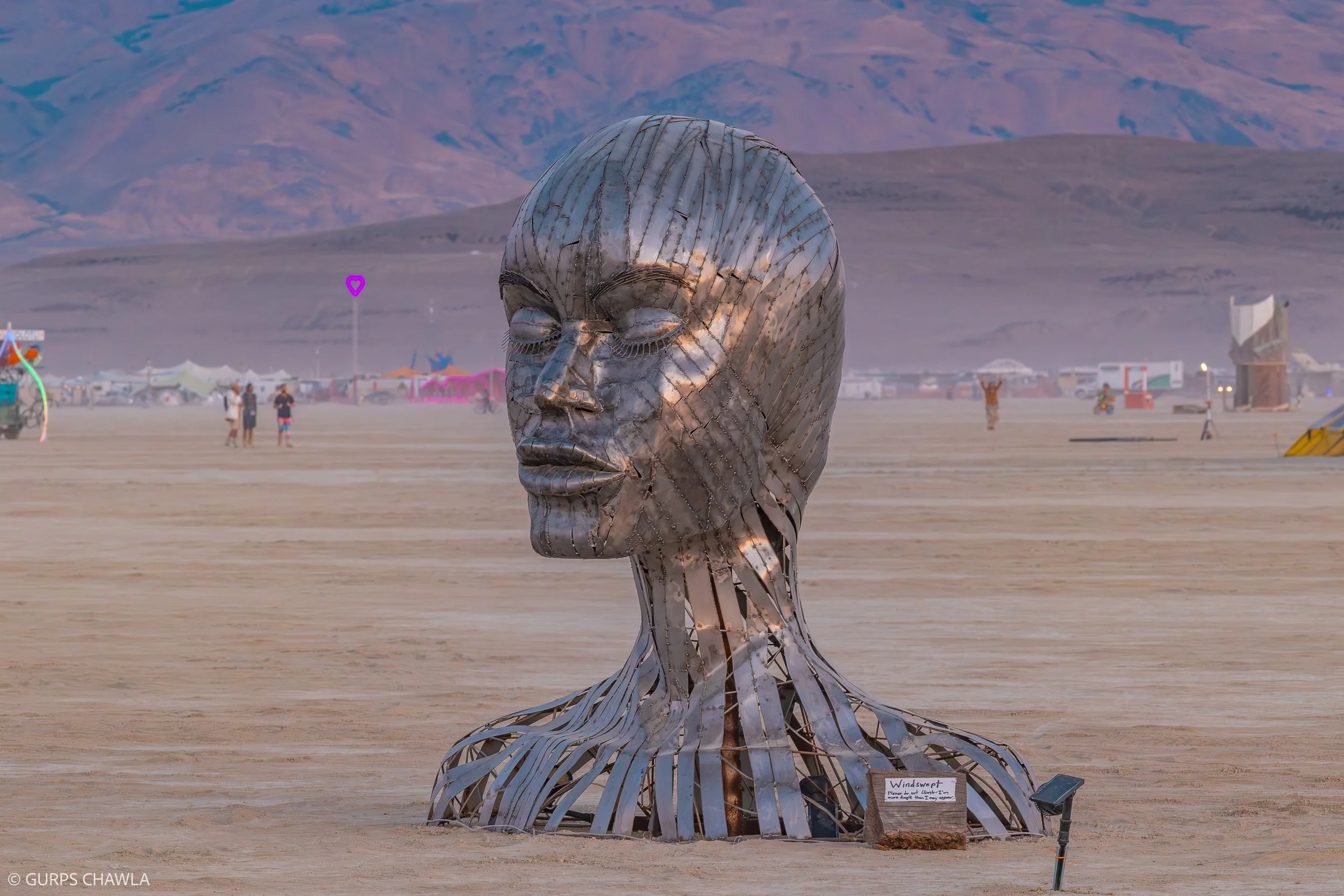 195. Windswept By- Dylan Hird.jpg