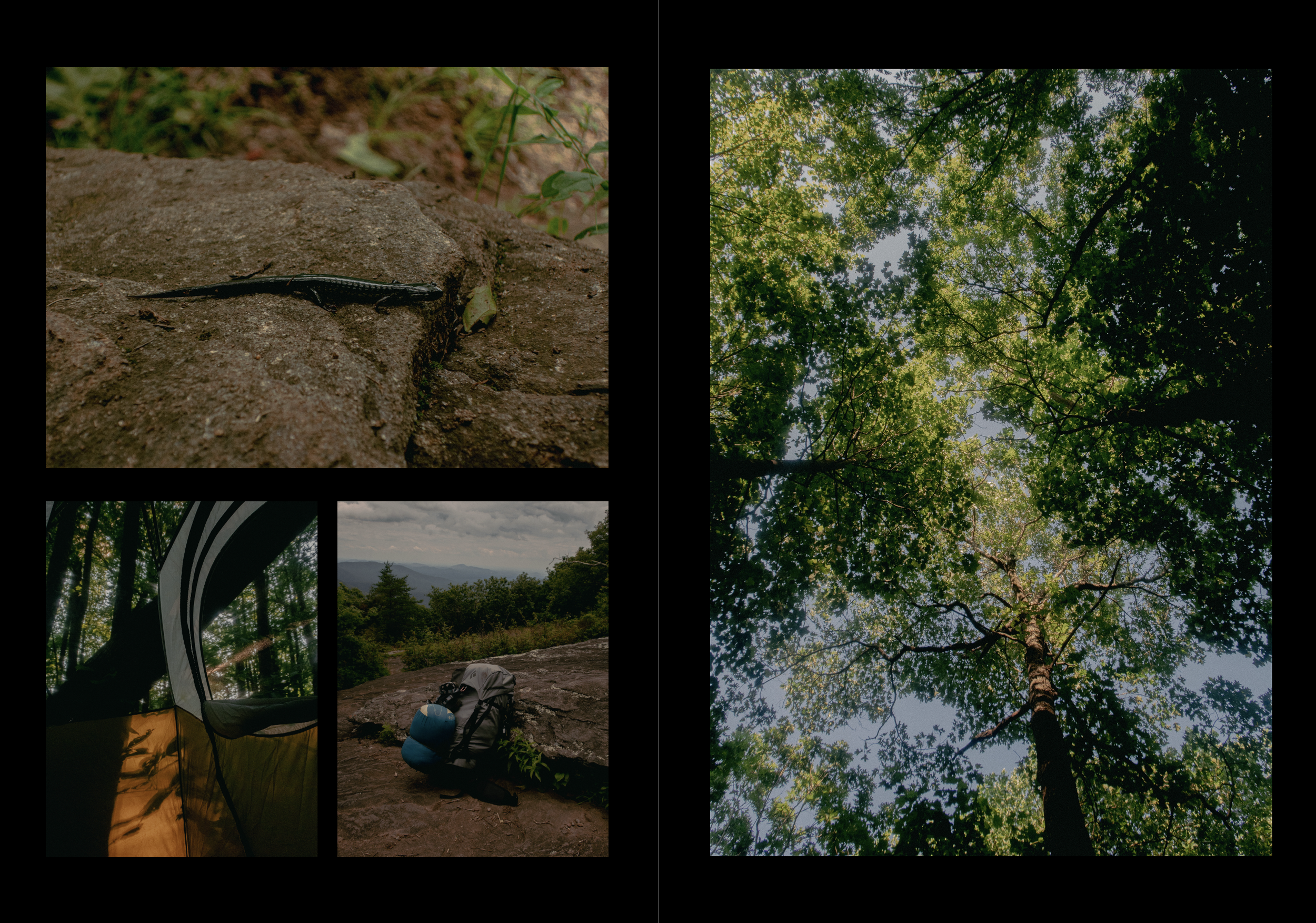 Screenshot 2024-02-08 at 9.15.55 PM.png