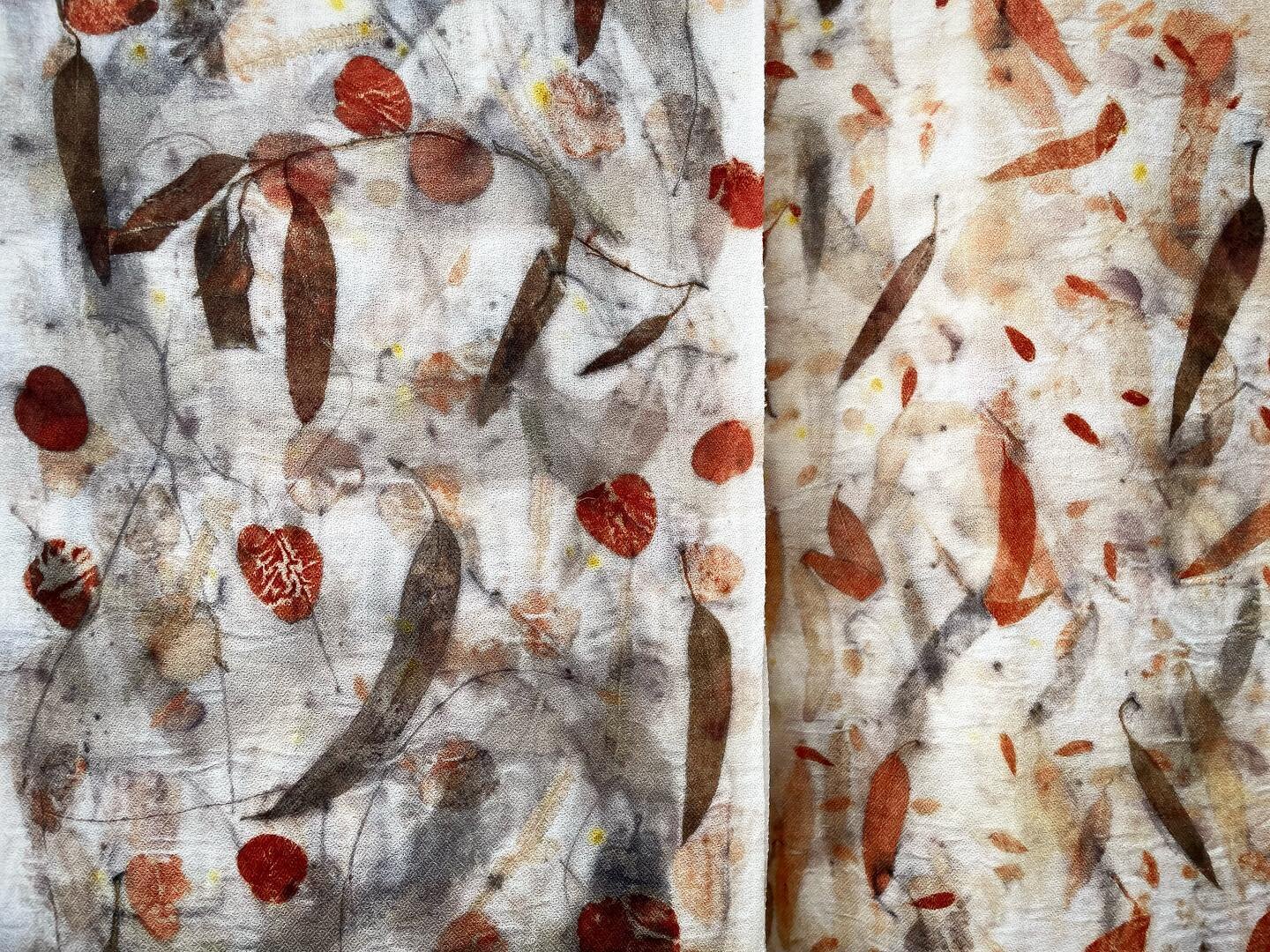 Same same (leaves) but different! This is what I ❤️ about the process. Every piece has its own personality 😍 
The finest Australian merino wool and eucalyptus leaves.

#Leafprint #MyLocalDyePlants #Handcrafted #Botanicaldyes  #AroundTheWorldin80dyes