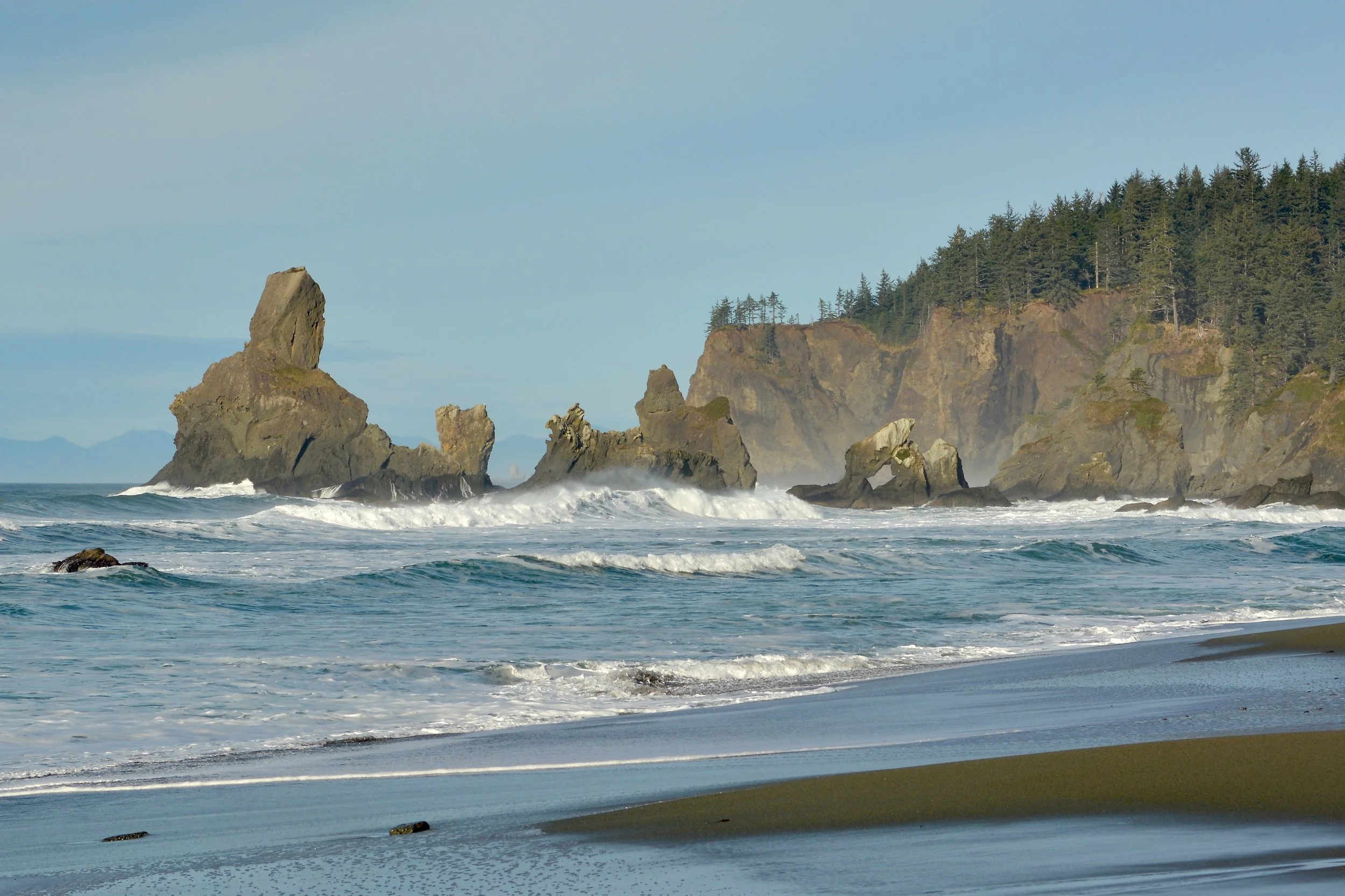 Coast Remnants