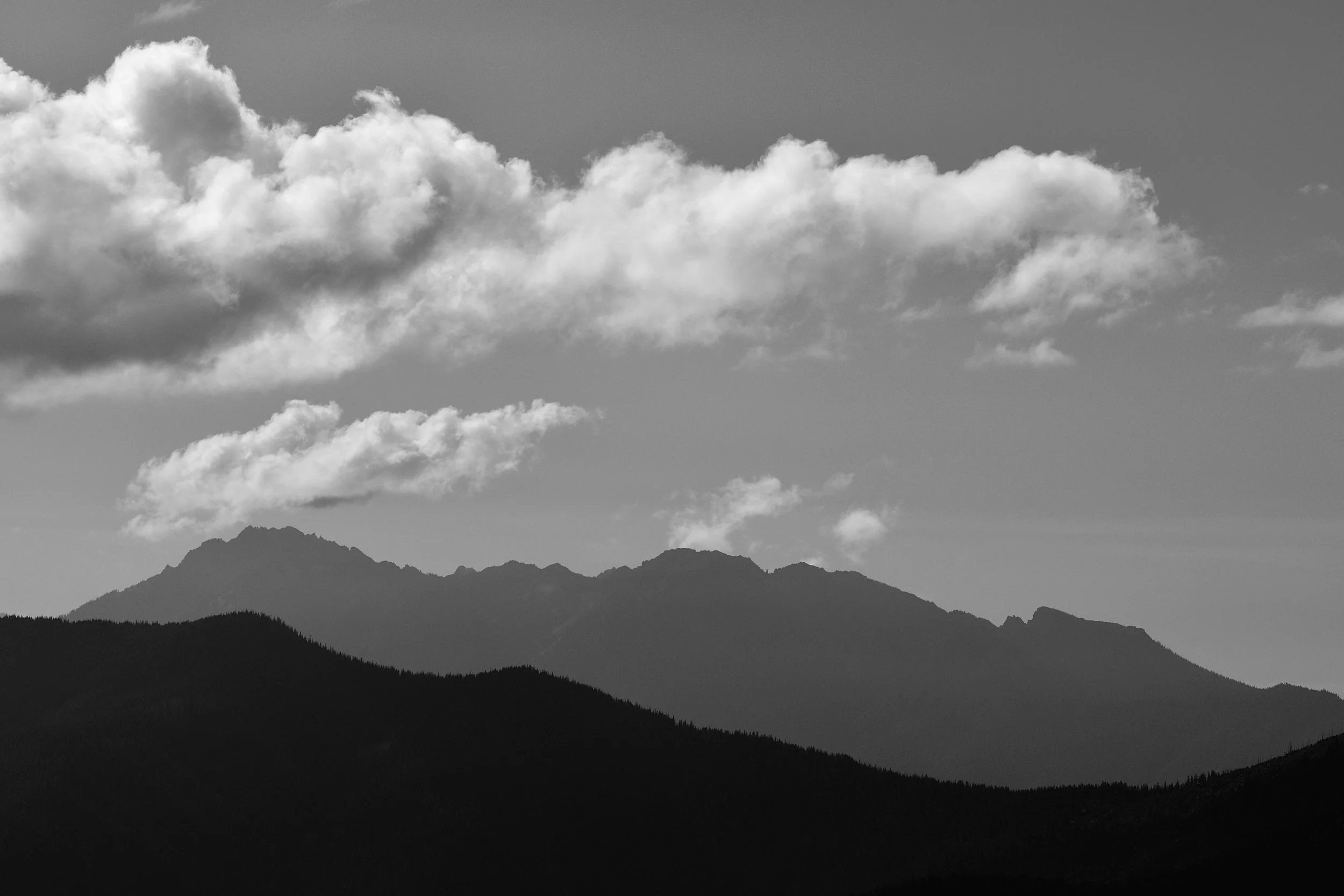 Double Silhouette