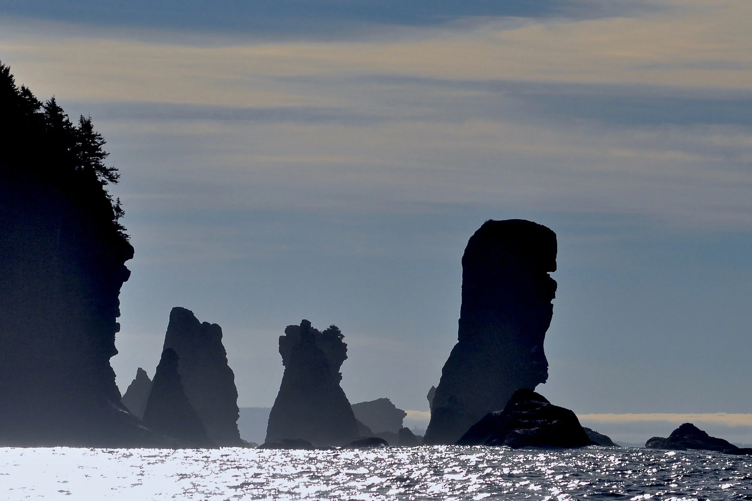 Sea Silhouettes, Cape Flattery, Washington Coast