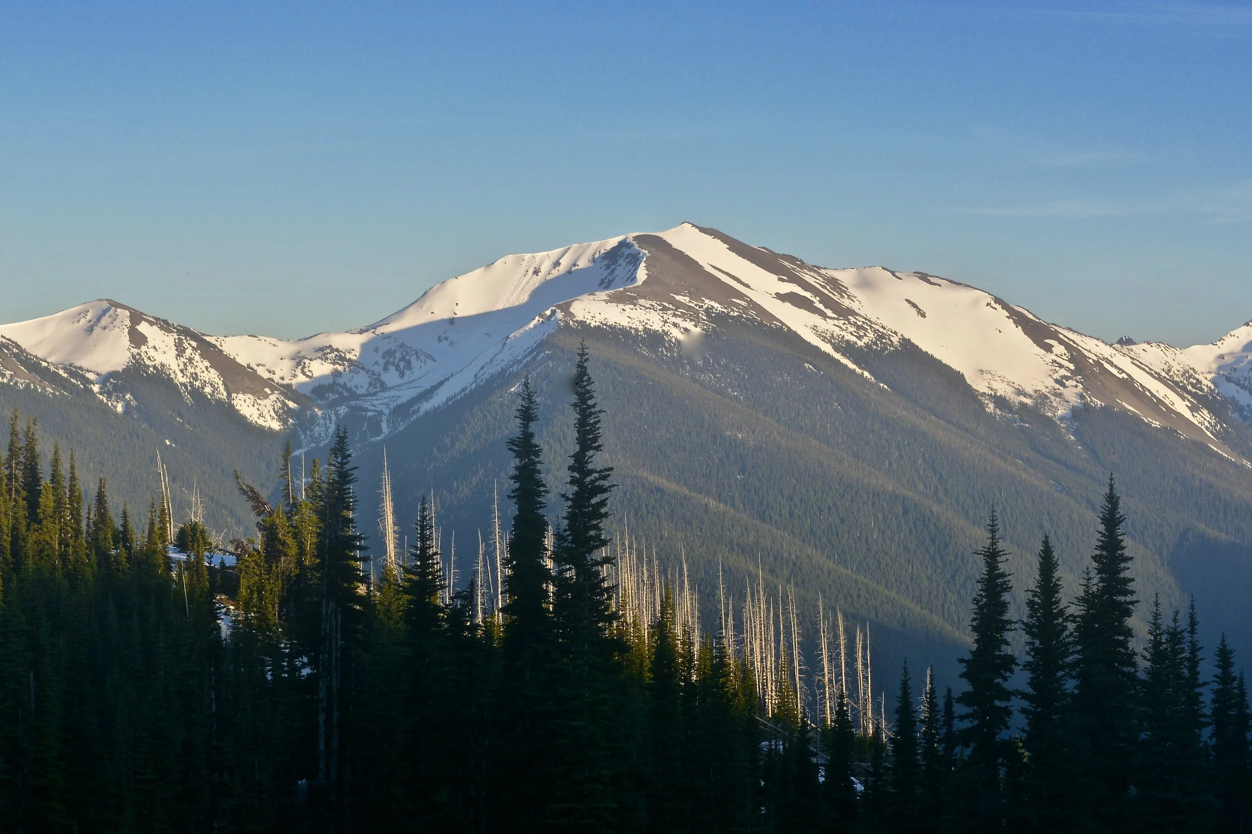 Gray Wolf Peak