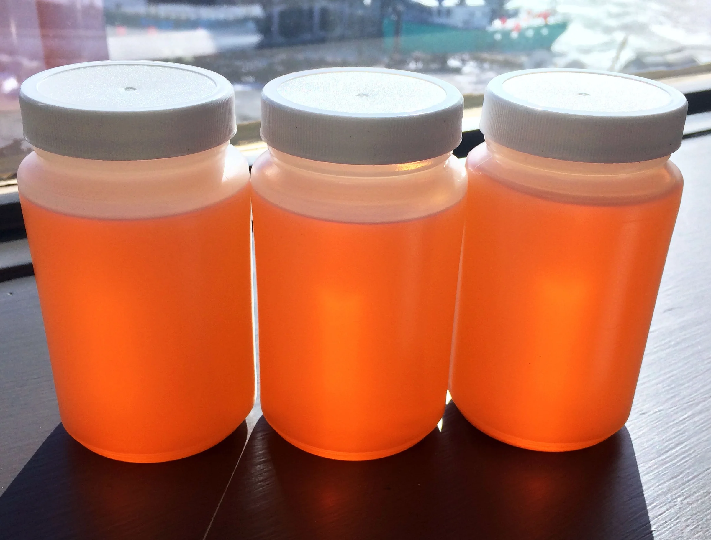 ScotiaGardenSeafoodFishOil.jpg