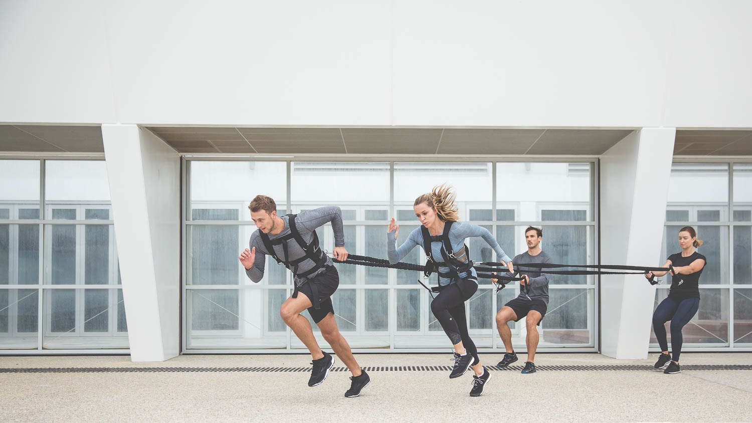 Ankorr Training