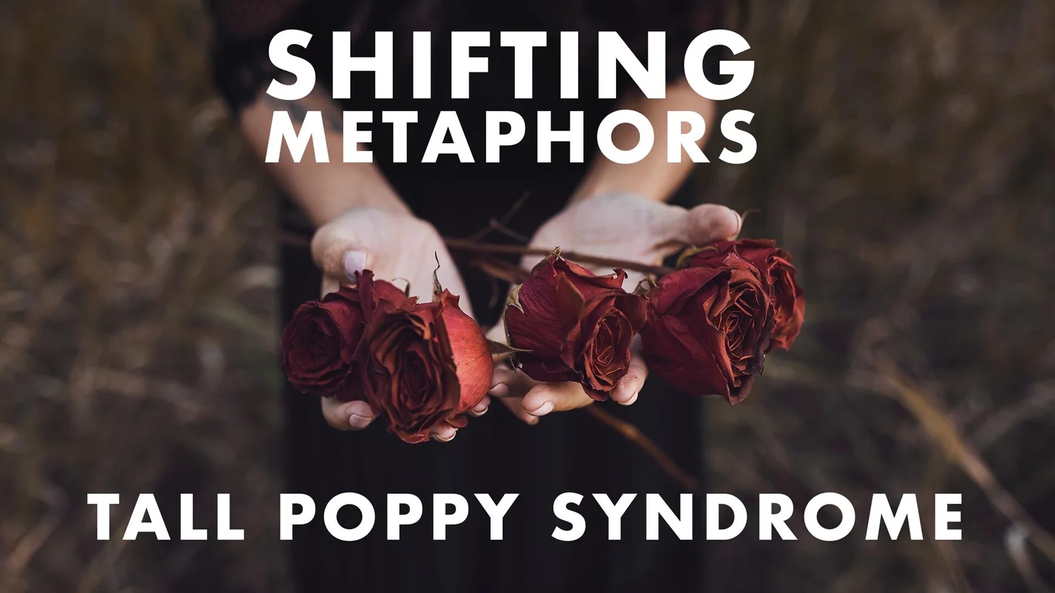 Episode 10 - Shifting Metaphors: Tall Poppy Syndrome episode artwork