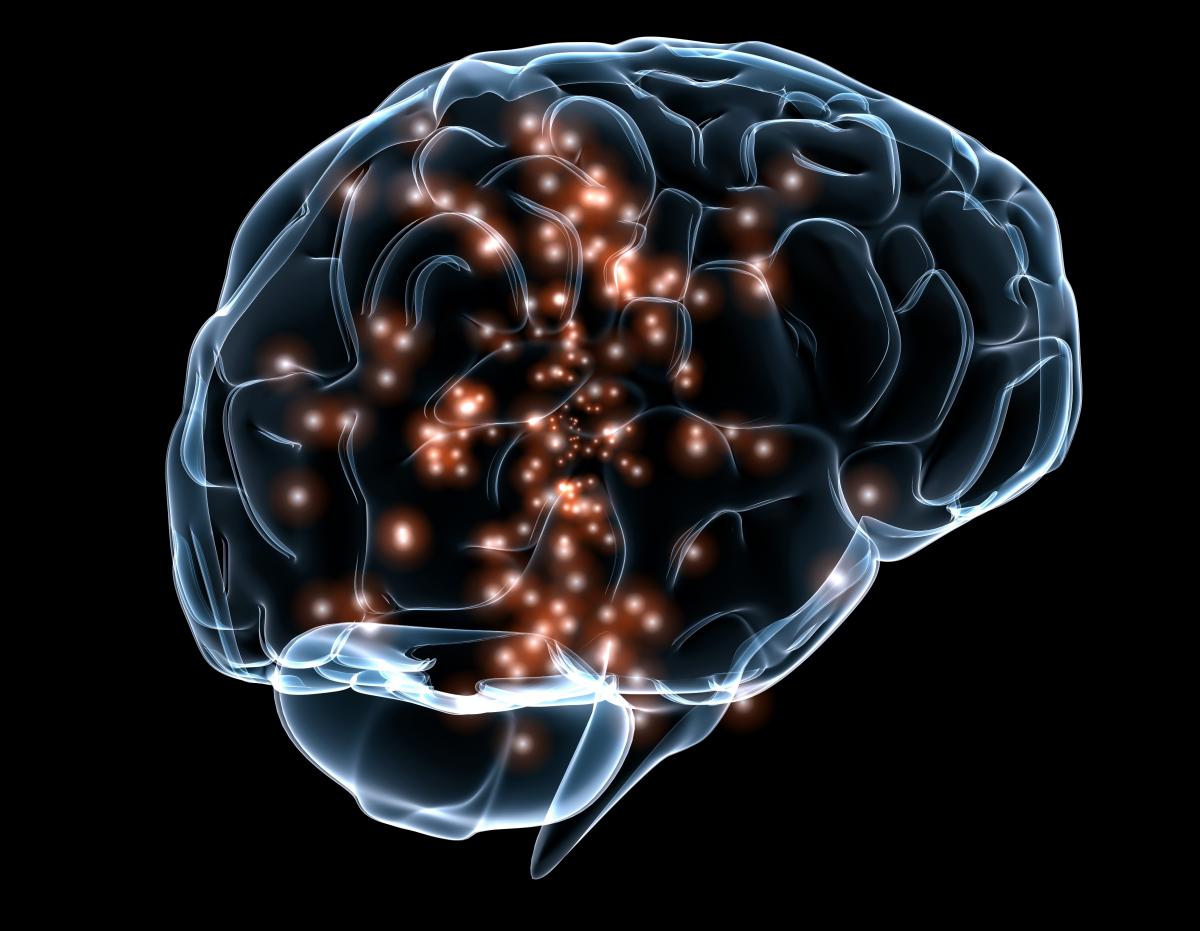 brain.jpg