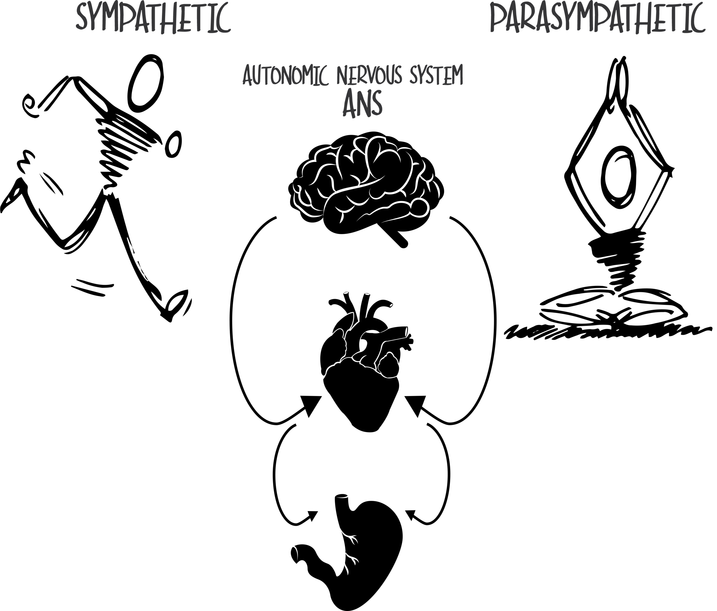 simpa-para.png