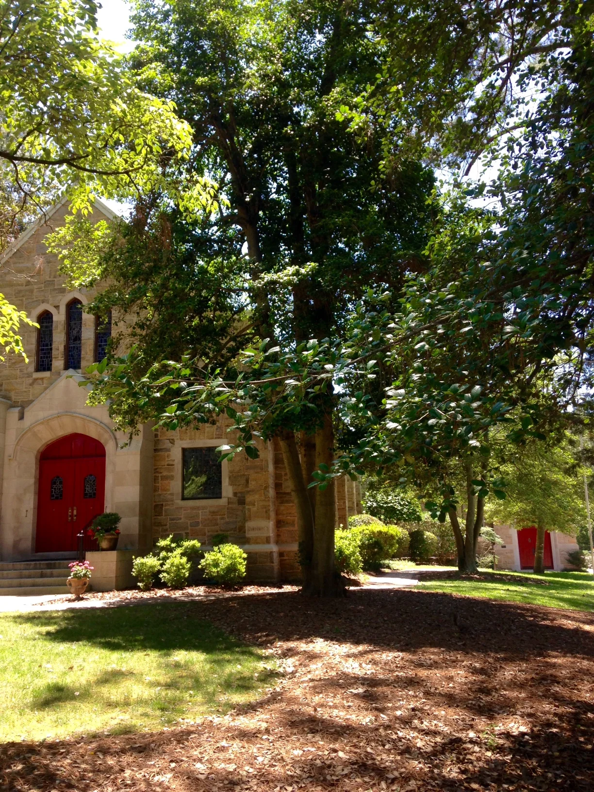 Izzy's school