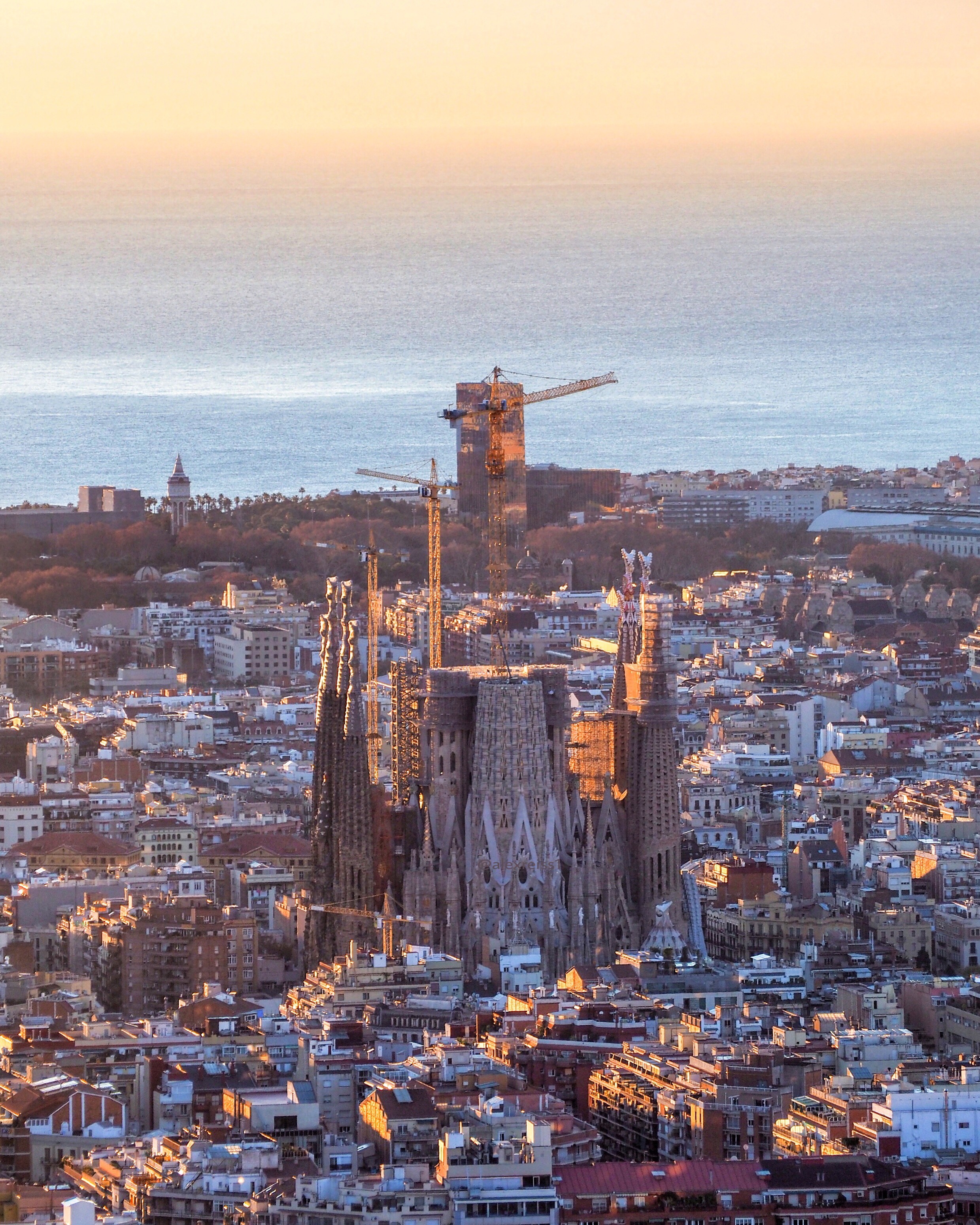 The Sagrada Familia Cathedral