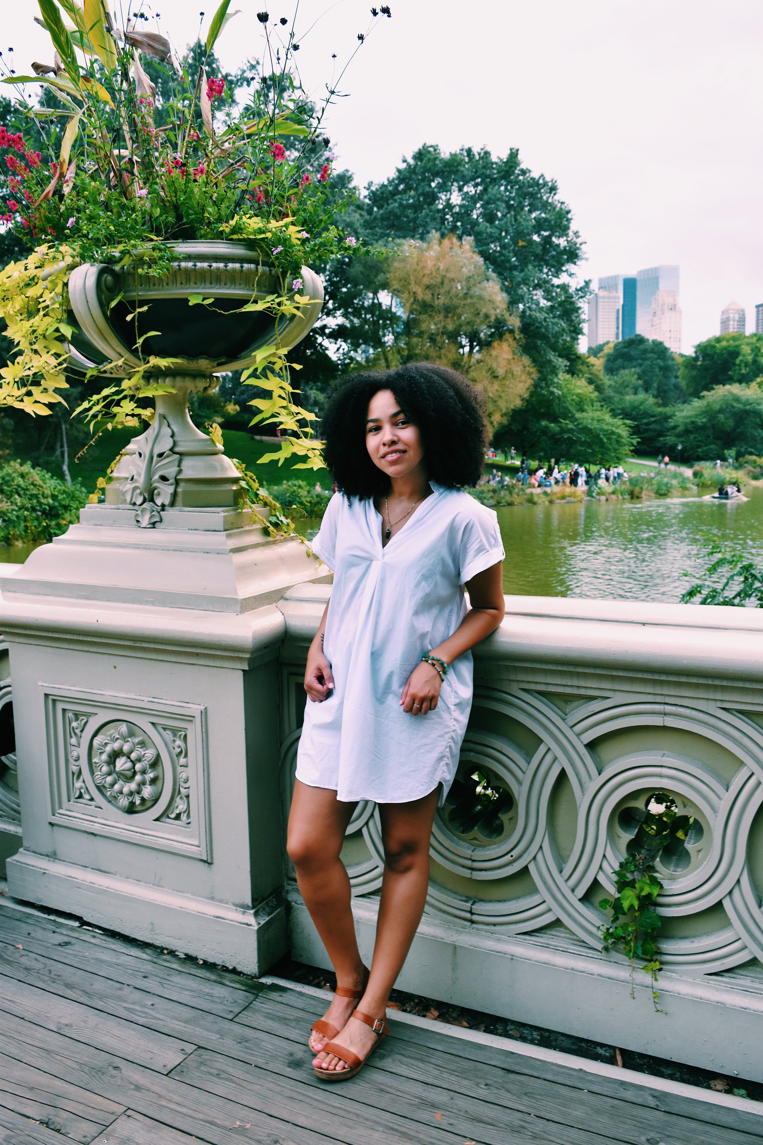 Autumn 2018: New Horizons