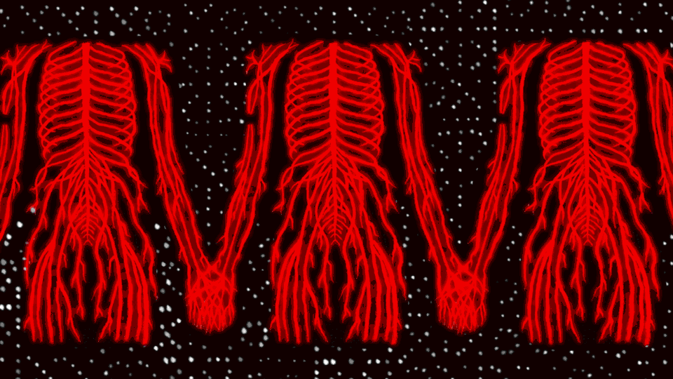 Body-Triple_1.gif