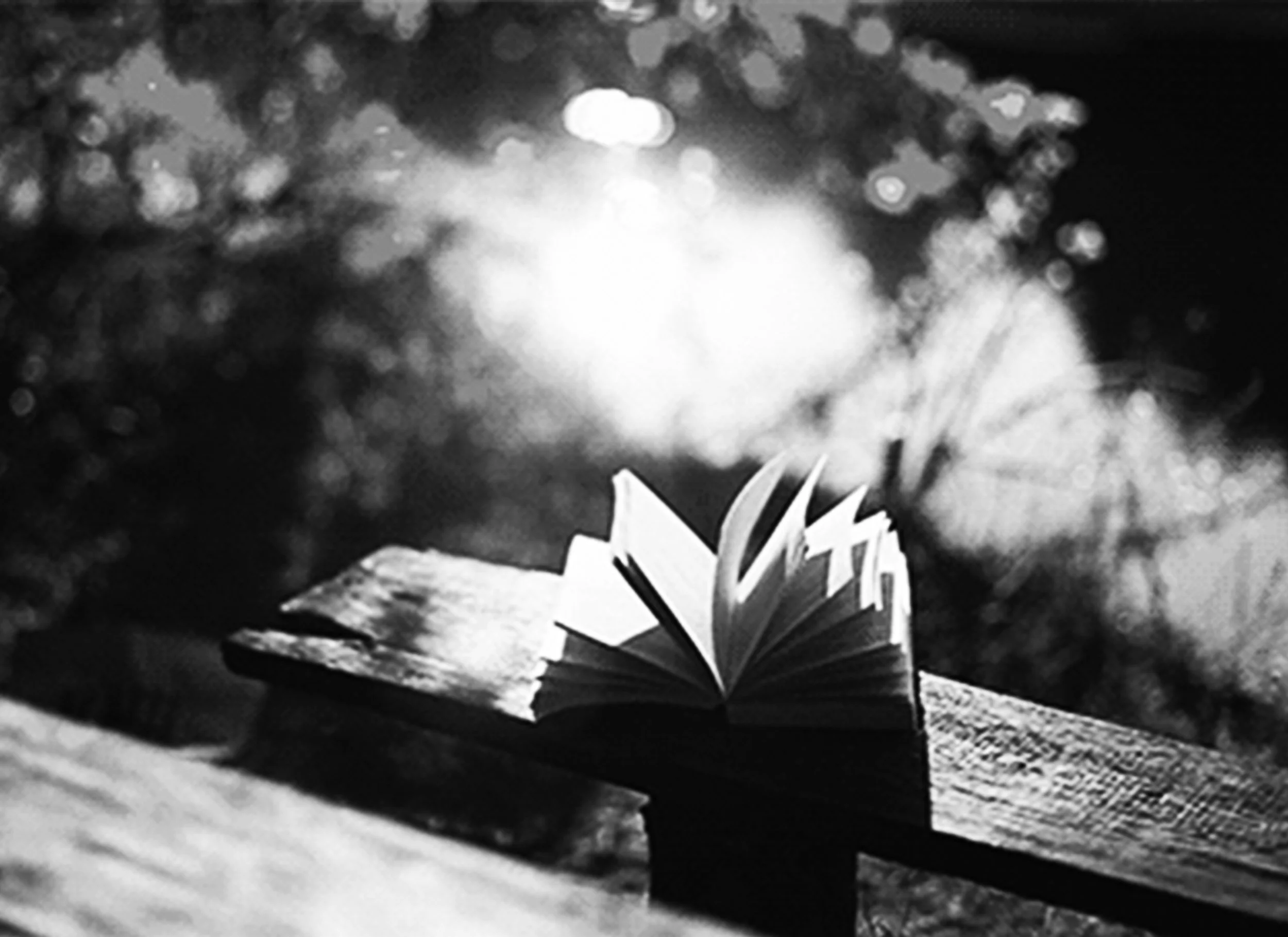 microlibrary_bw.jpg