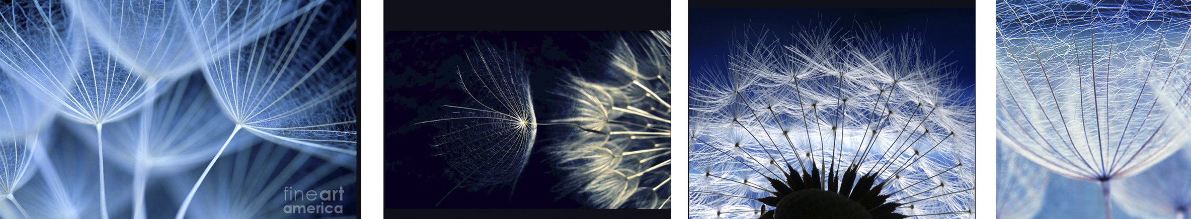 INSPIRATION.png