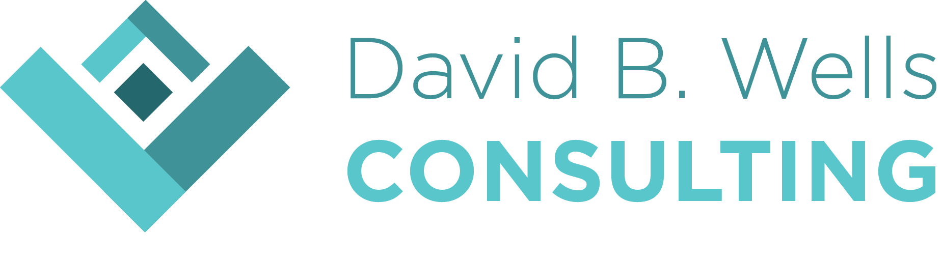 David B. Wells Consulting