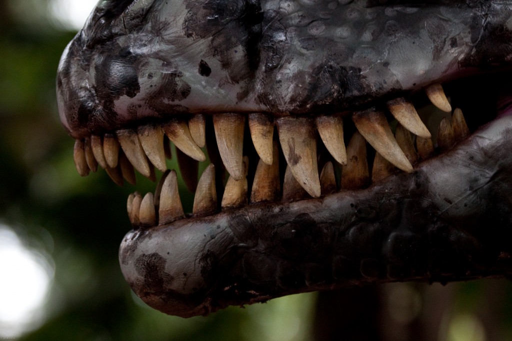 Erth's Dinosaur Zoo Japan Tour