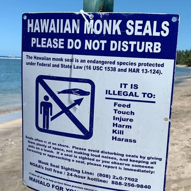 Someone heard the beaches were open to sunbathe....happy we have these signs to post up as a volunteer couldn&rsquo;t be sent down due to COVID.  We got you R308 and the Ohanas on both sides are watching  over him too. 😎 #polanuihiu