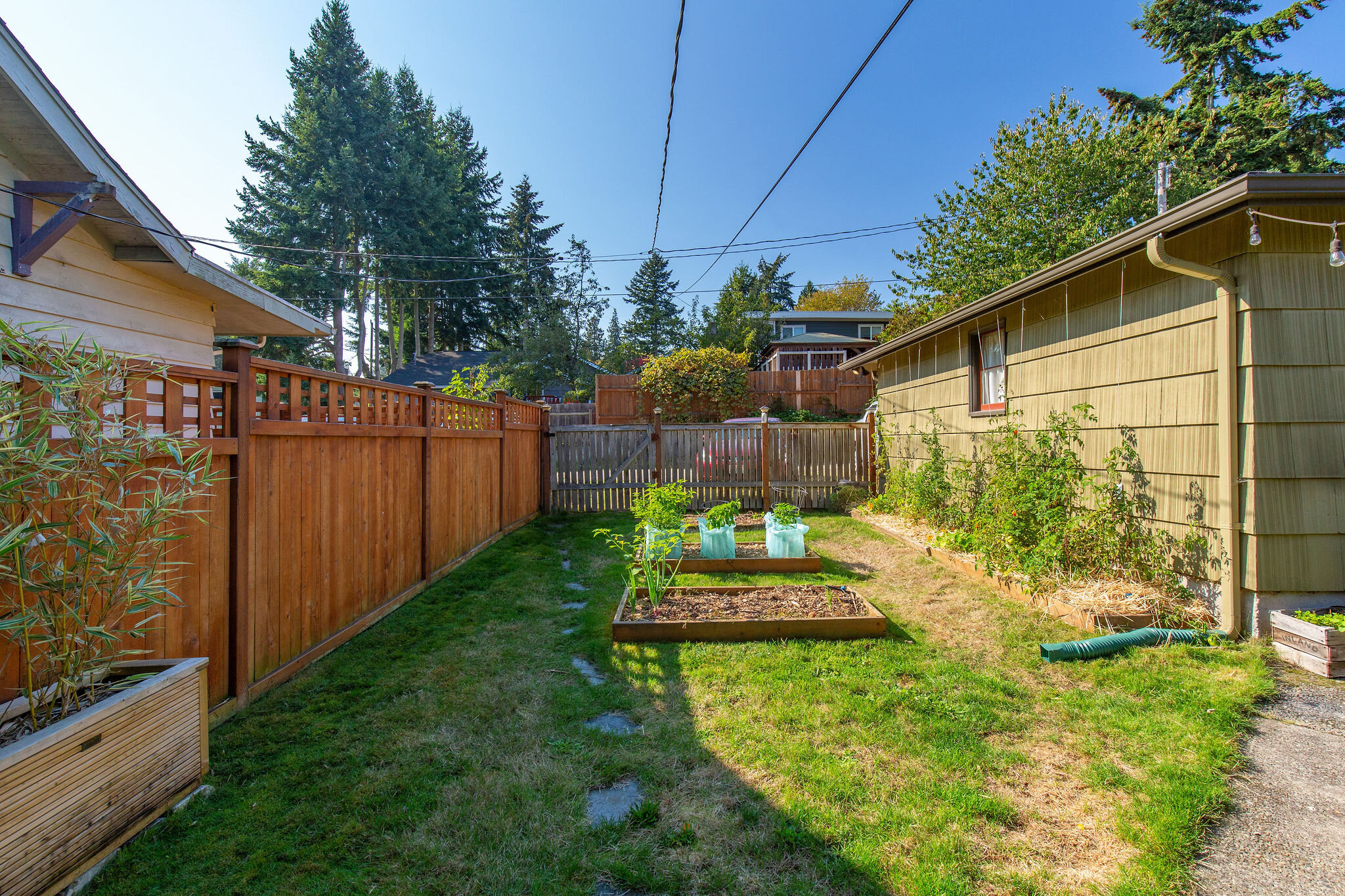  A gardener’s paradise with garden beds in both the front and backyard. Also the back yard is fully-fenced and ready for pets to play in. 