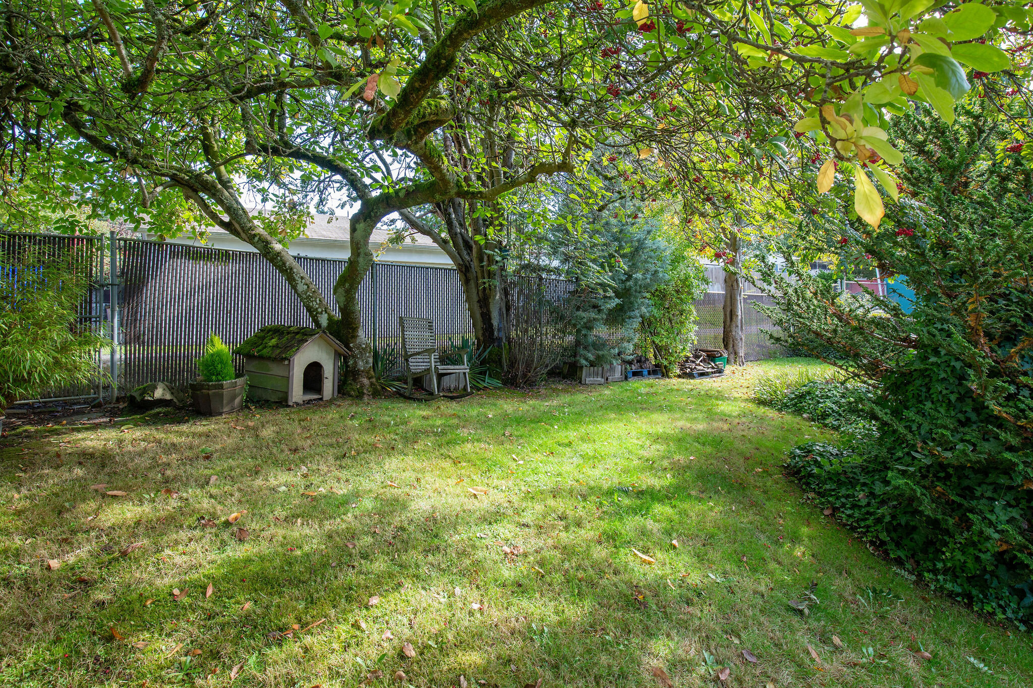  The back of the yard has a wonderful flat area that you could garden, have a chicken coop or just sit in the shade on a sunny day. There is also gate access to the alley and some neighbors have made more pull off-parking and garages coming off the a