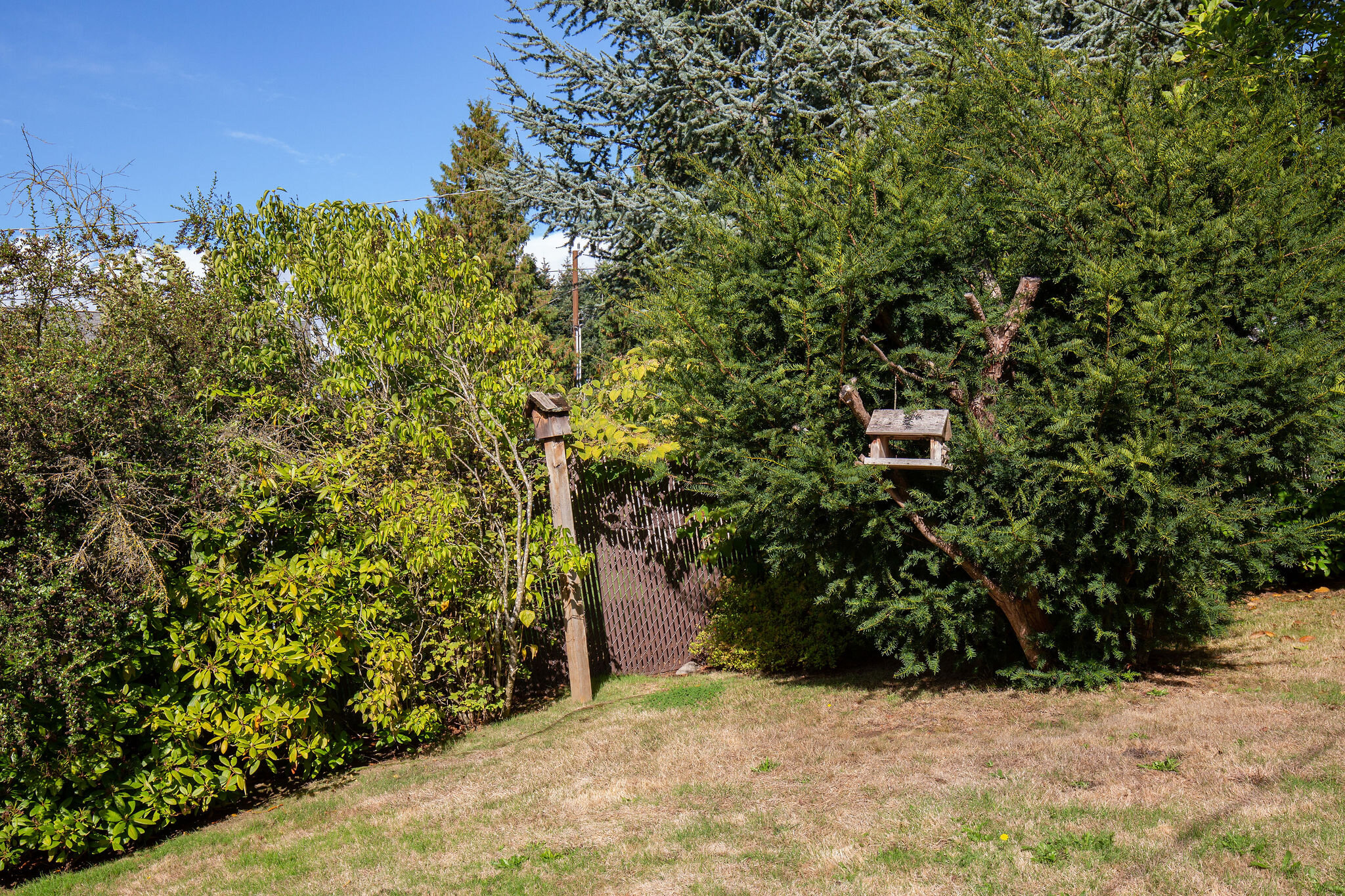  This home has had one owner for 30 years so there are lovely, mature trees and native plantings around the garden. 
