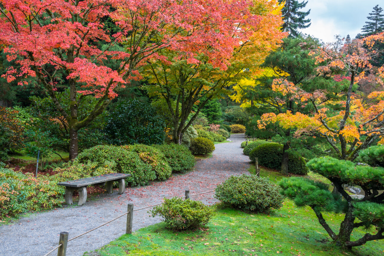 Washington Park Arboretum.jpg