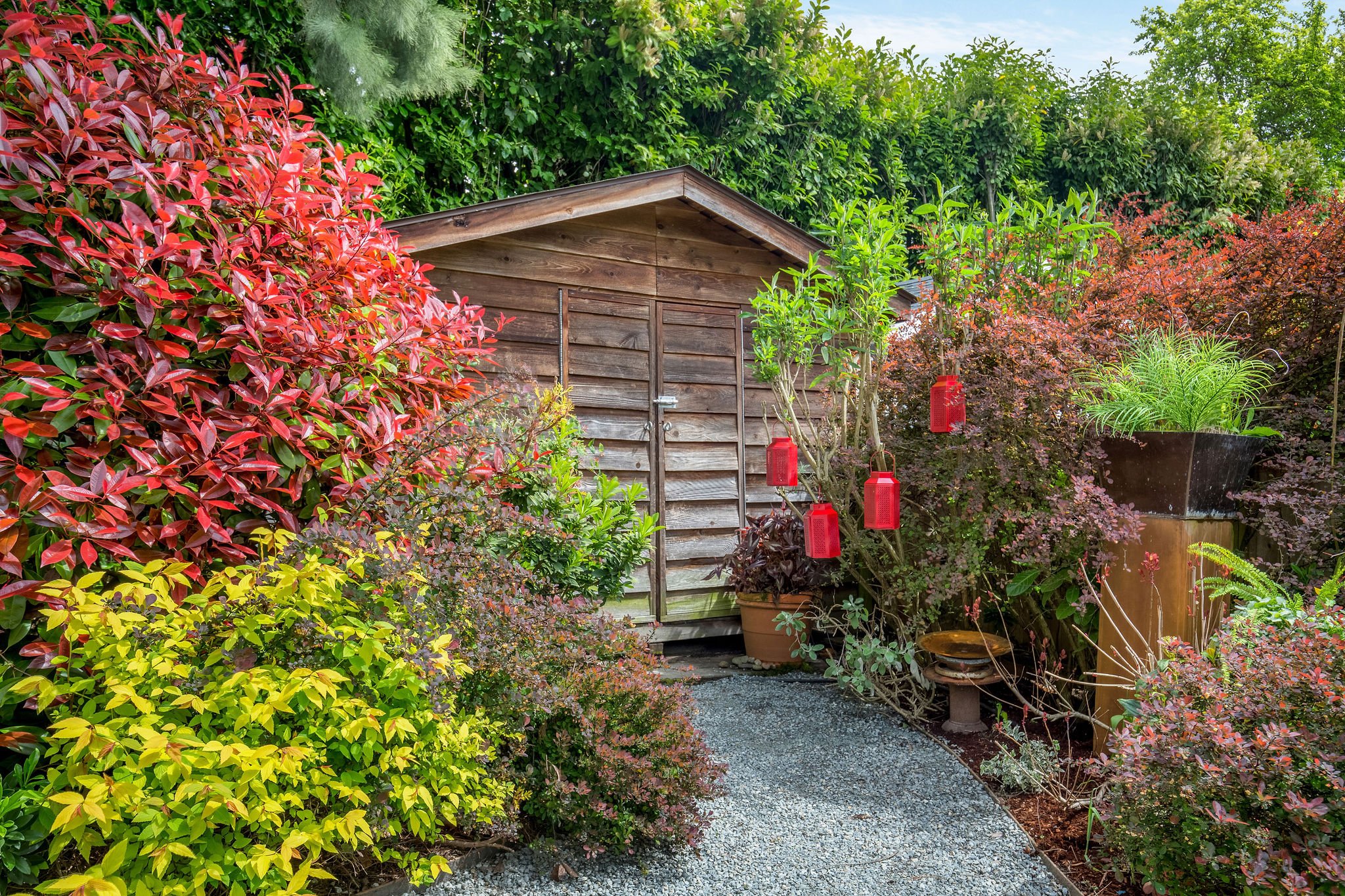  image description: exterior of patio with shed and garden 