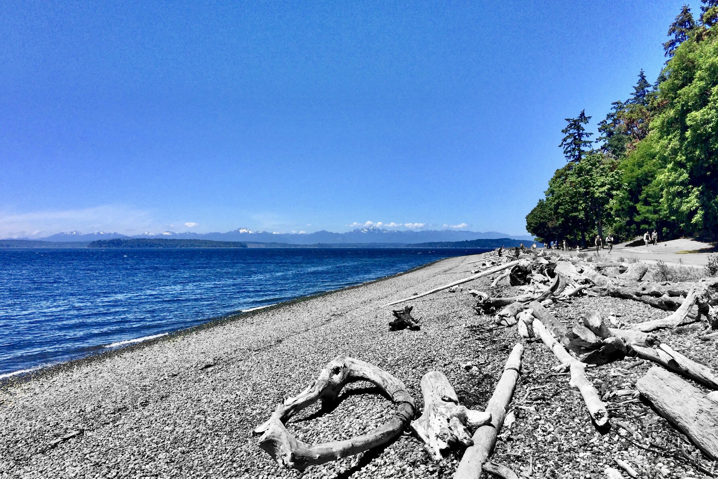 Lincoln Park beach.jpeg