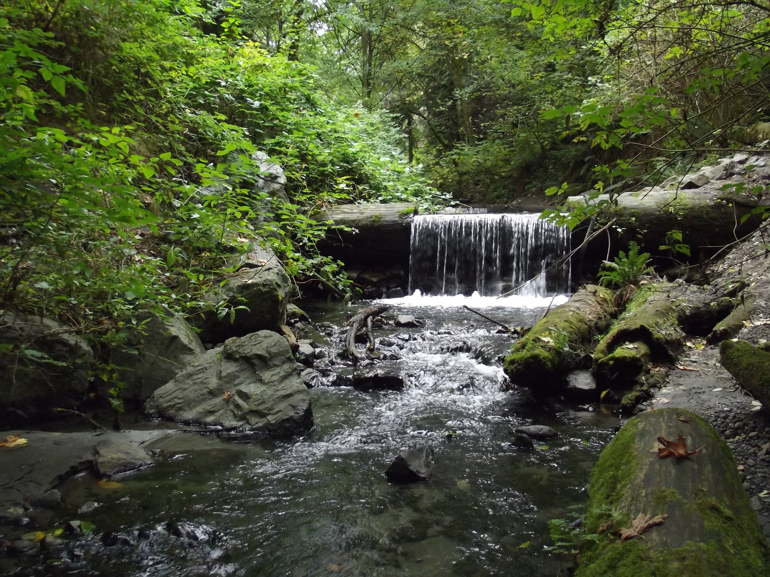 Boeing Creek Park.jpg