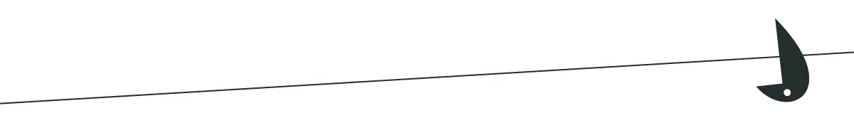 BirdWire2.jpg