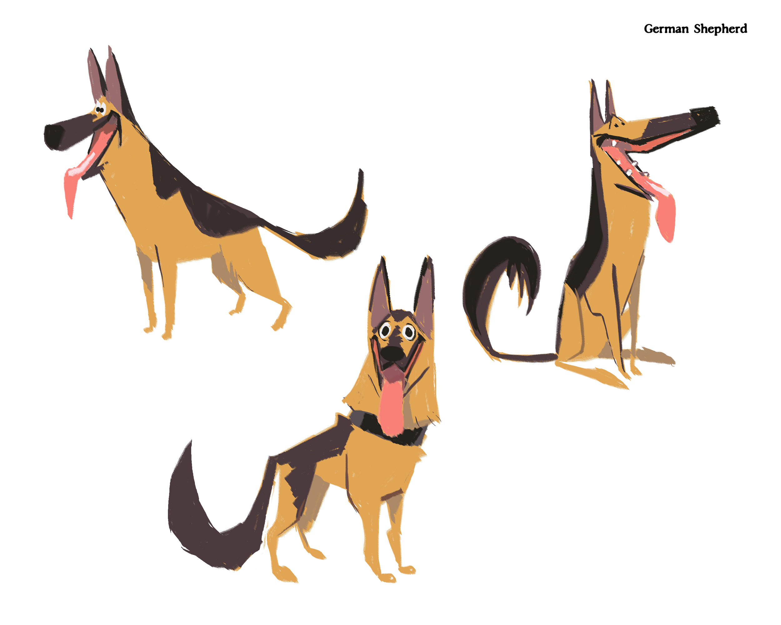 German Shepherd Color Sketches.png
