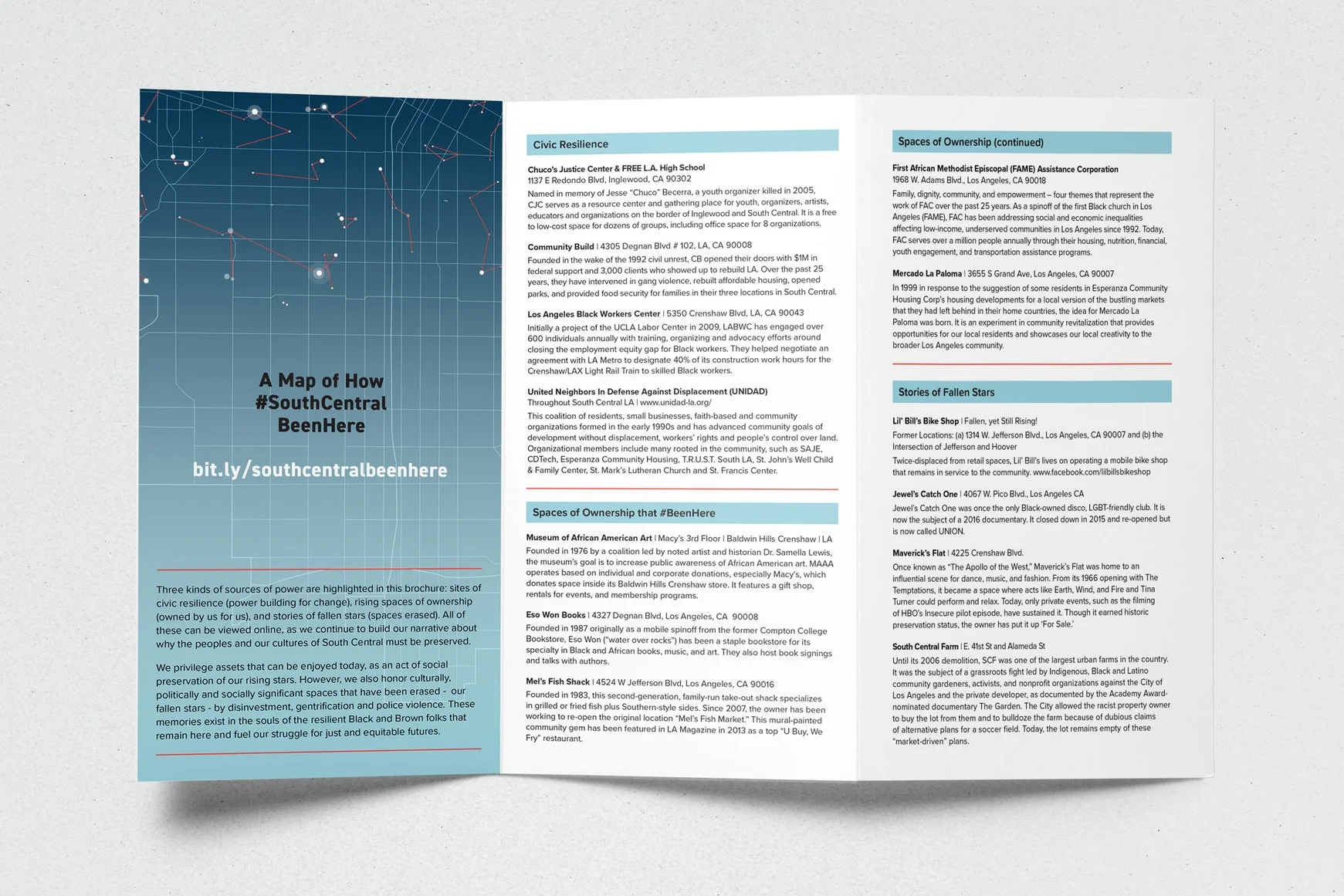 TCP_Brochure_mockup2.jpg