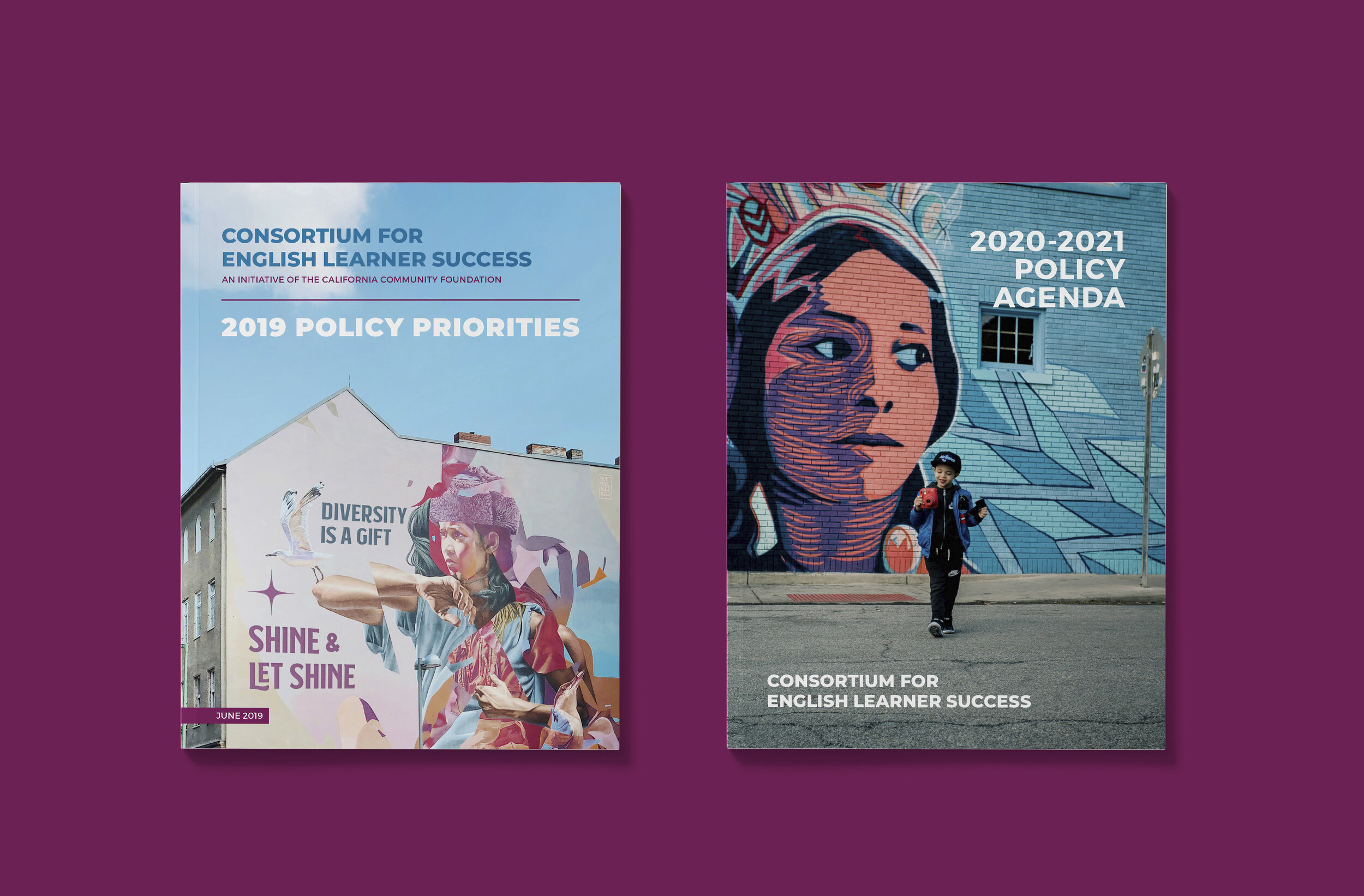 EL-Policy-Agenda_Mockup-0-Covers.jpg