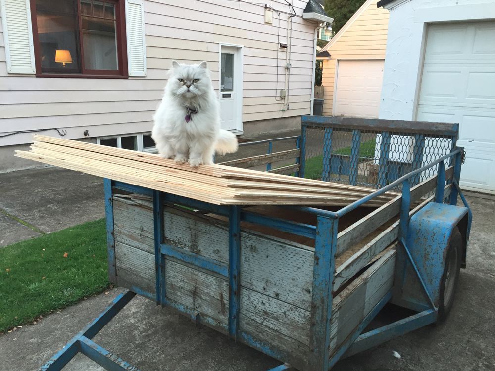 Napoleon likes plywood!