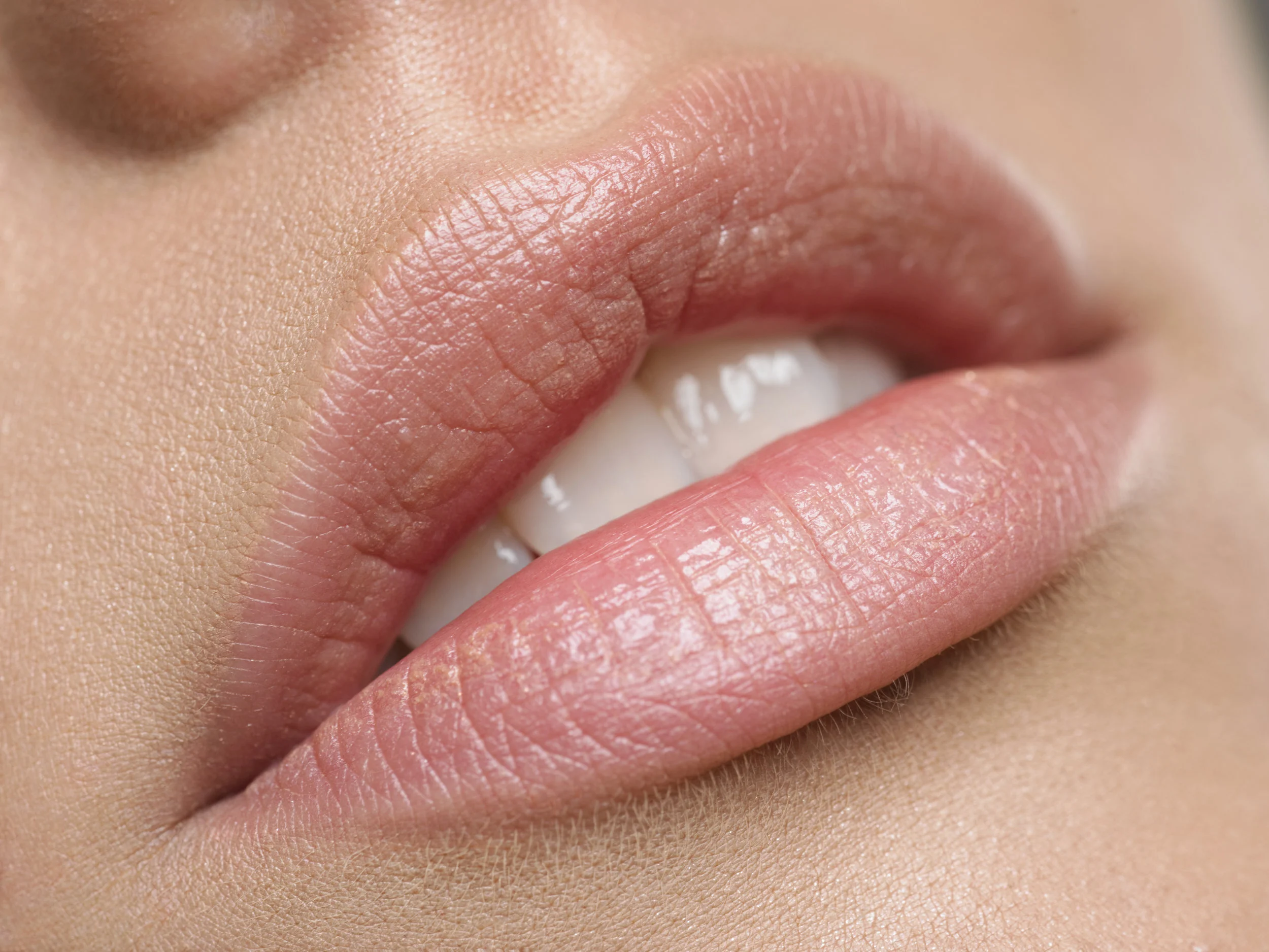 Lippenkonturen mit leichter Einschattierung € 480,00